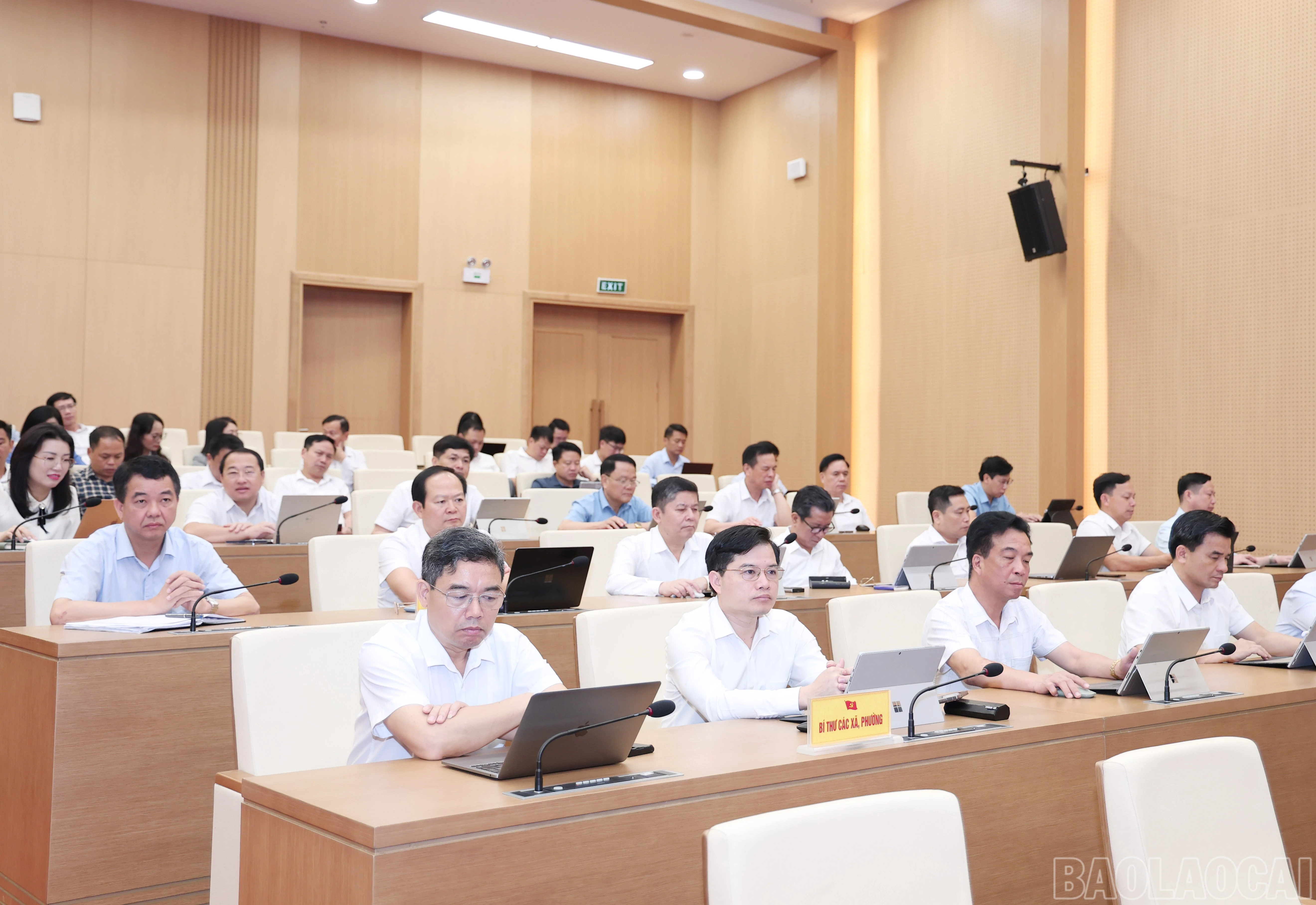 baolaocai-br_img-1426.jpg