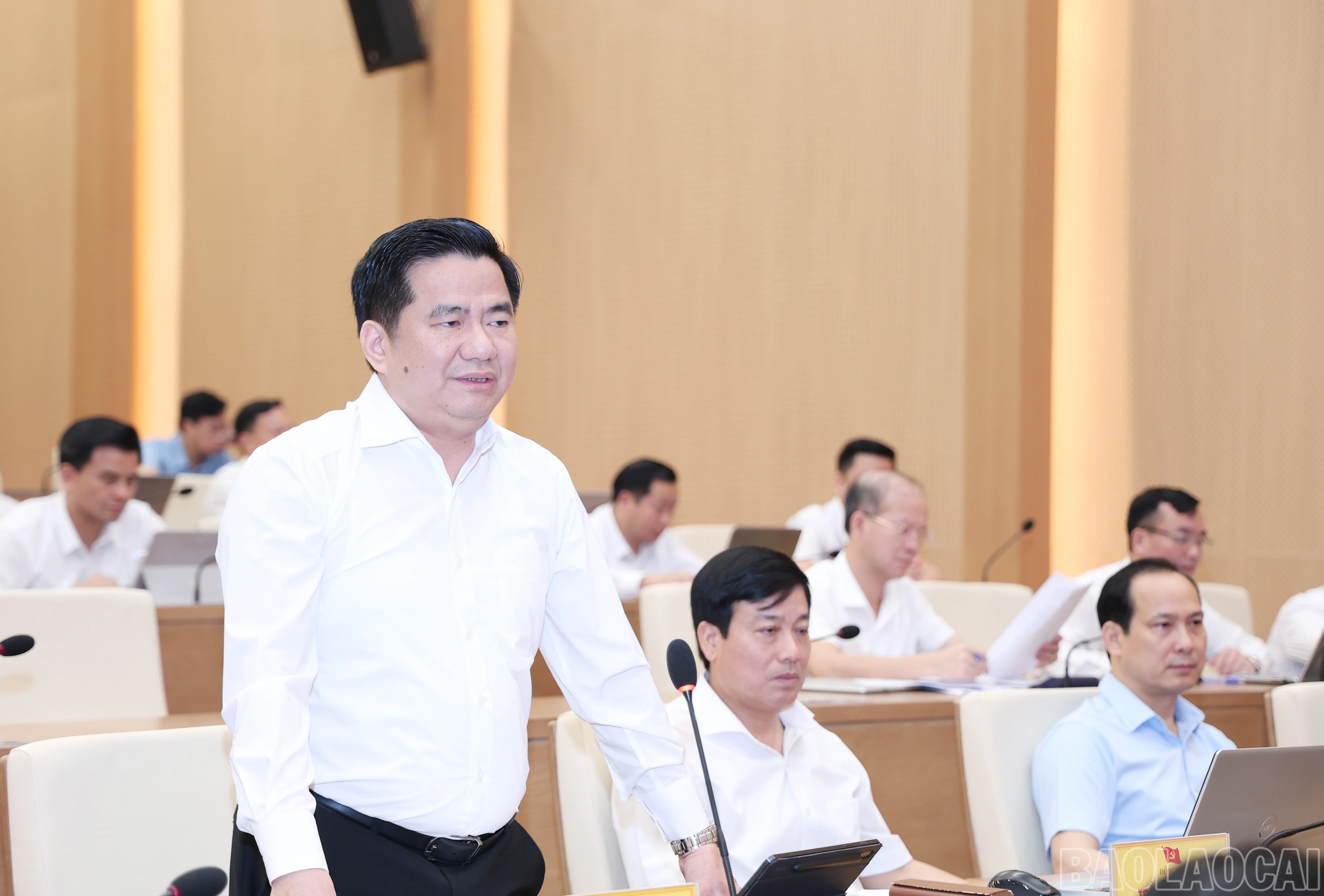 baolaocai-br_img-1421.jpg