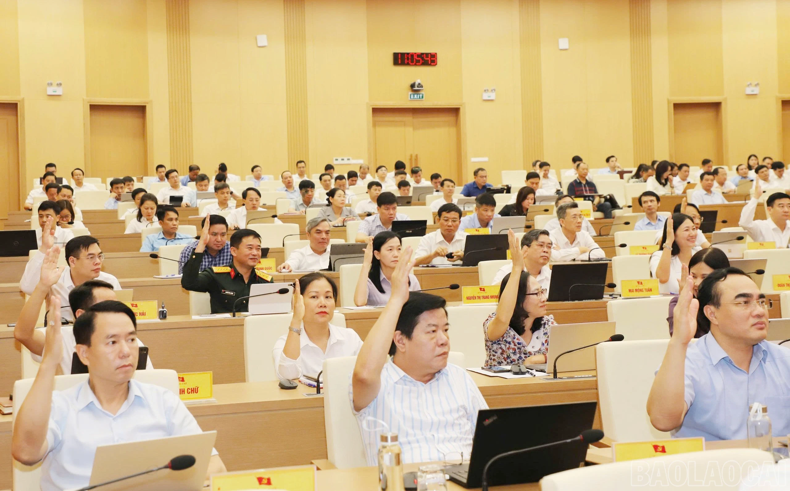 baolaocai-br_112.jpg