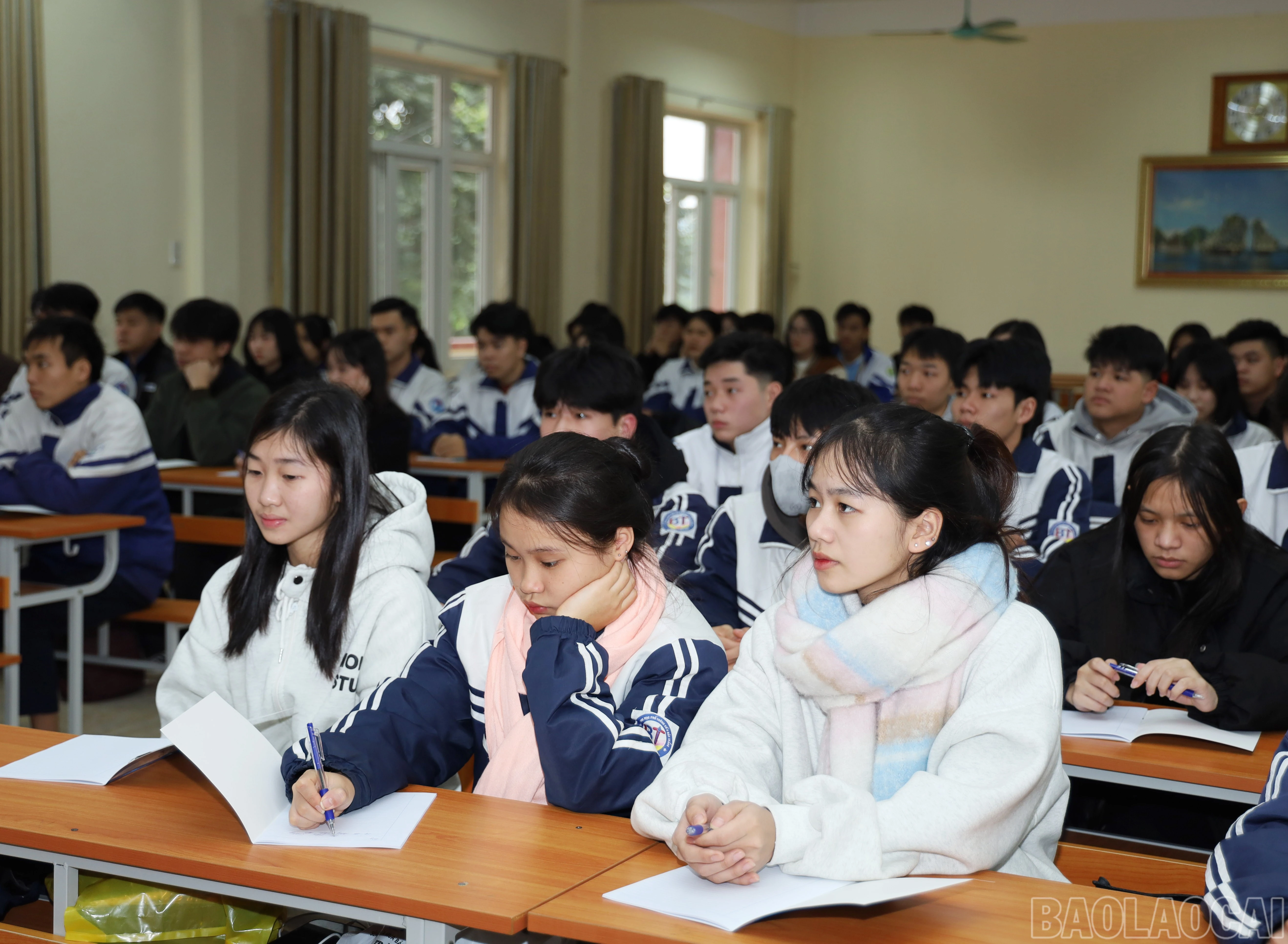 baolaocai-br_7755.jpg