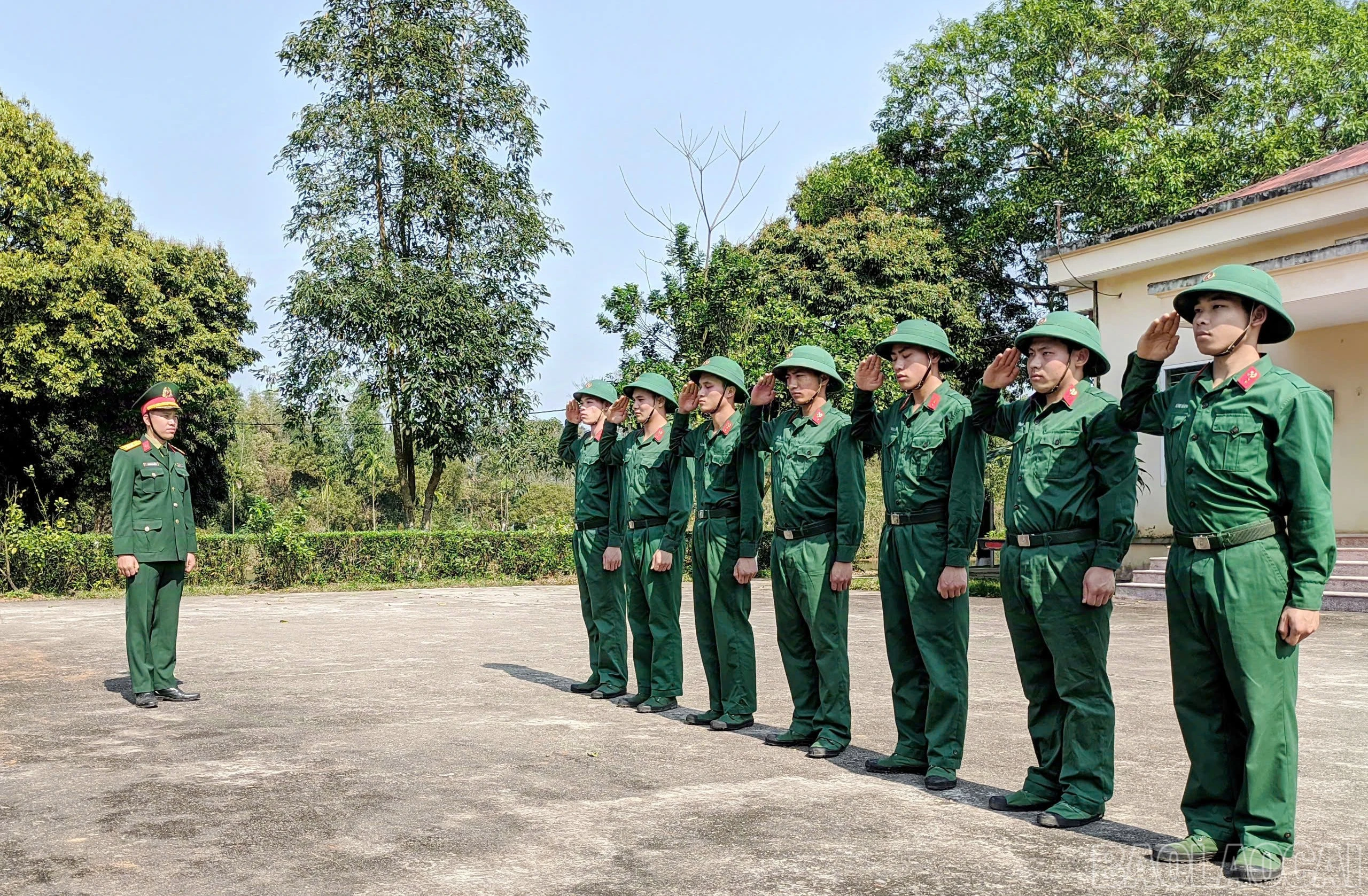 baolaocai-br_234.jpg