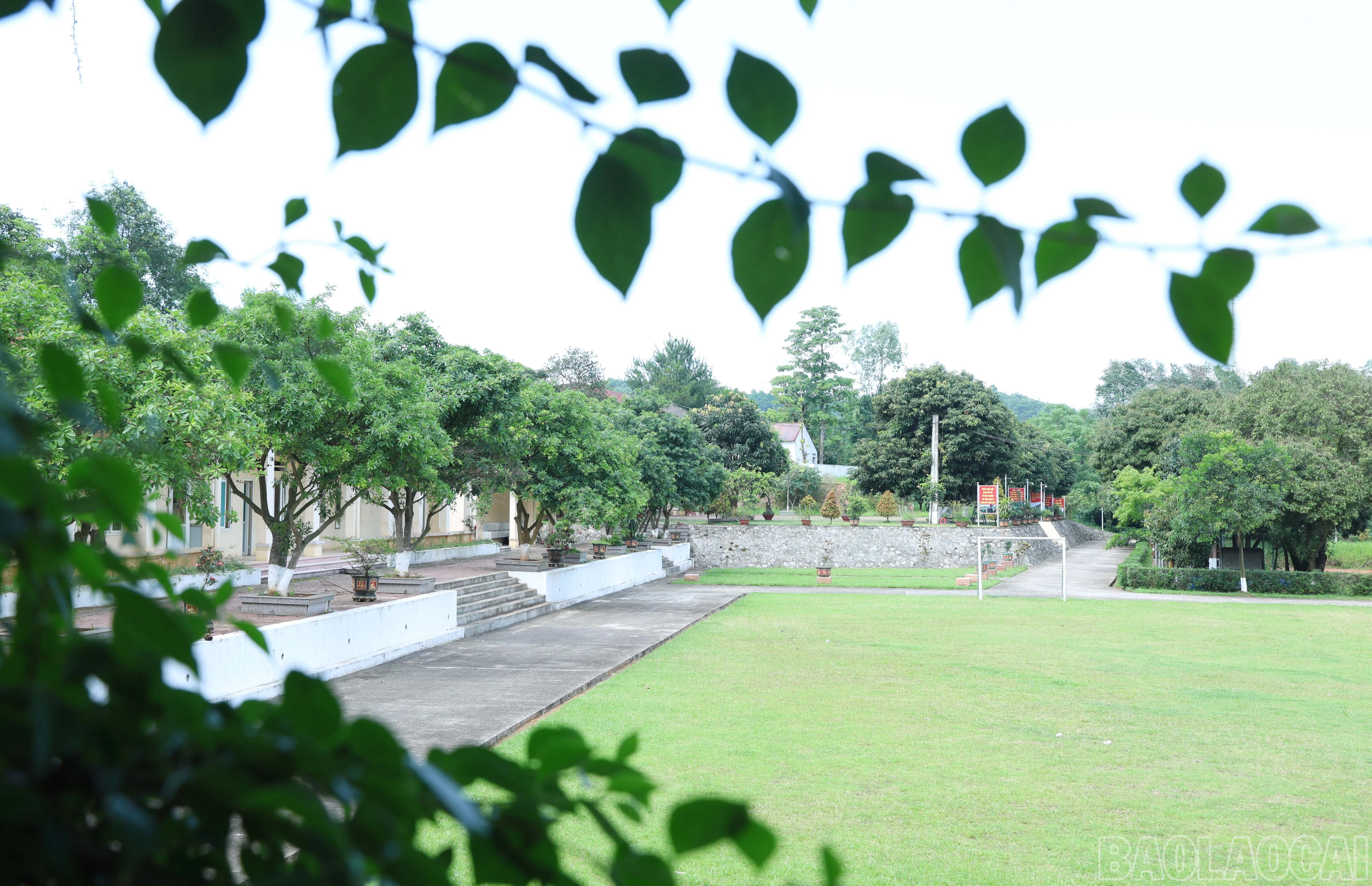 baolaocai-br_img-5381.jpg