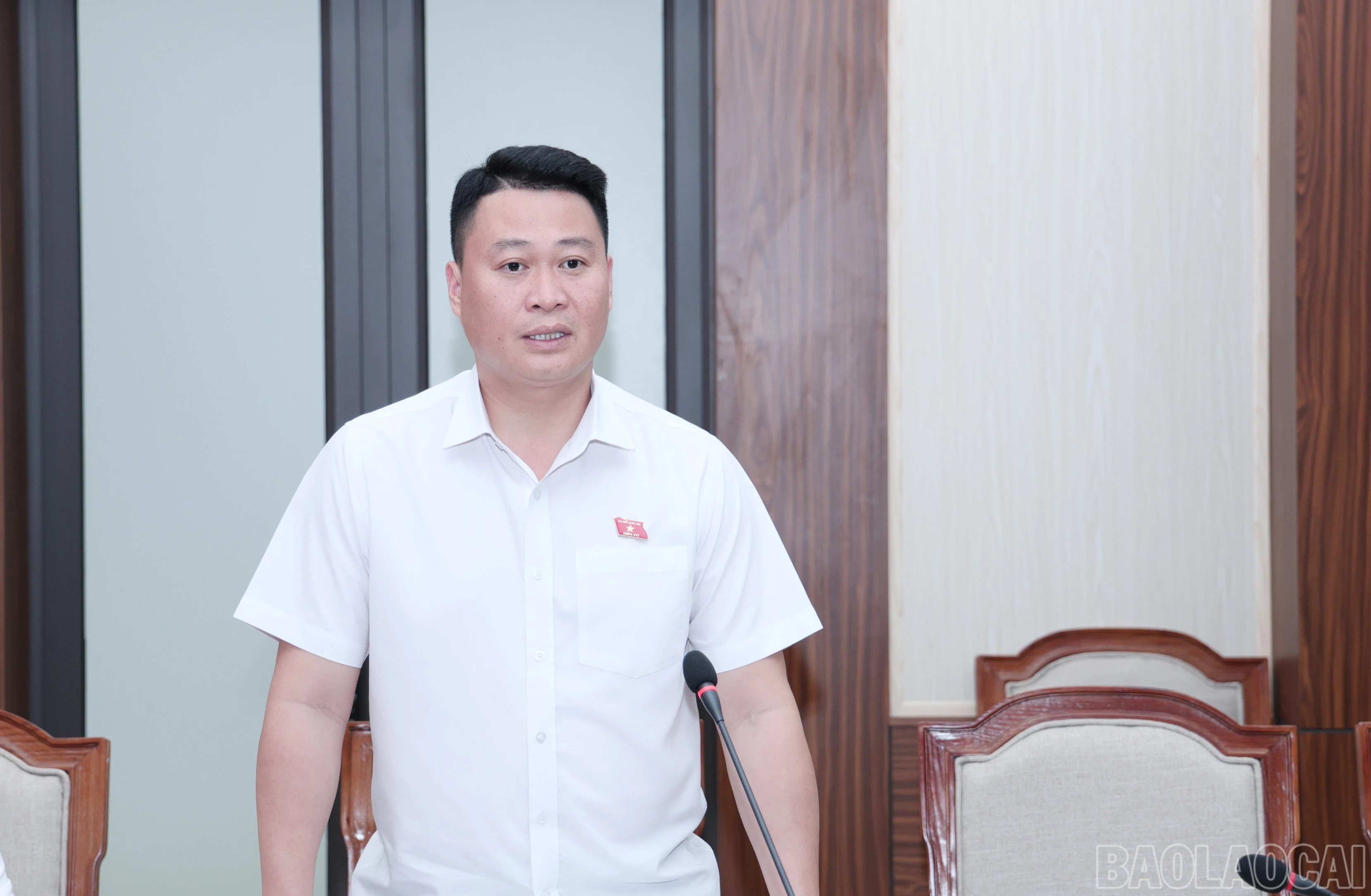 baolaocai-br_img-3370.jpg