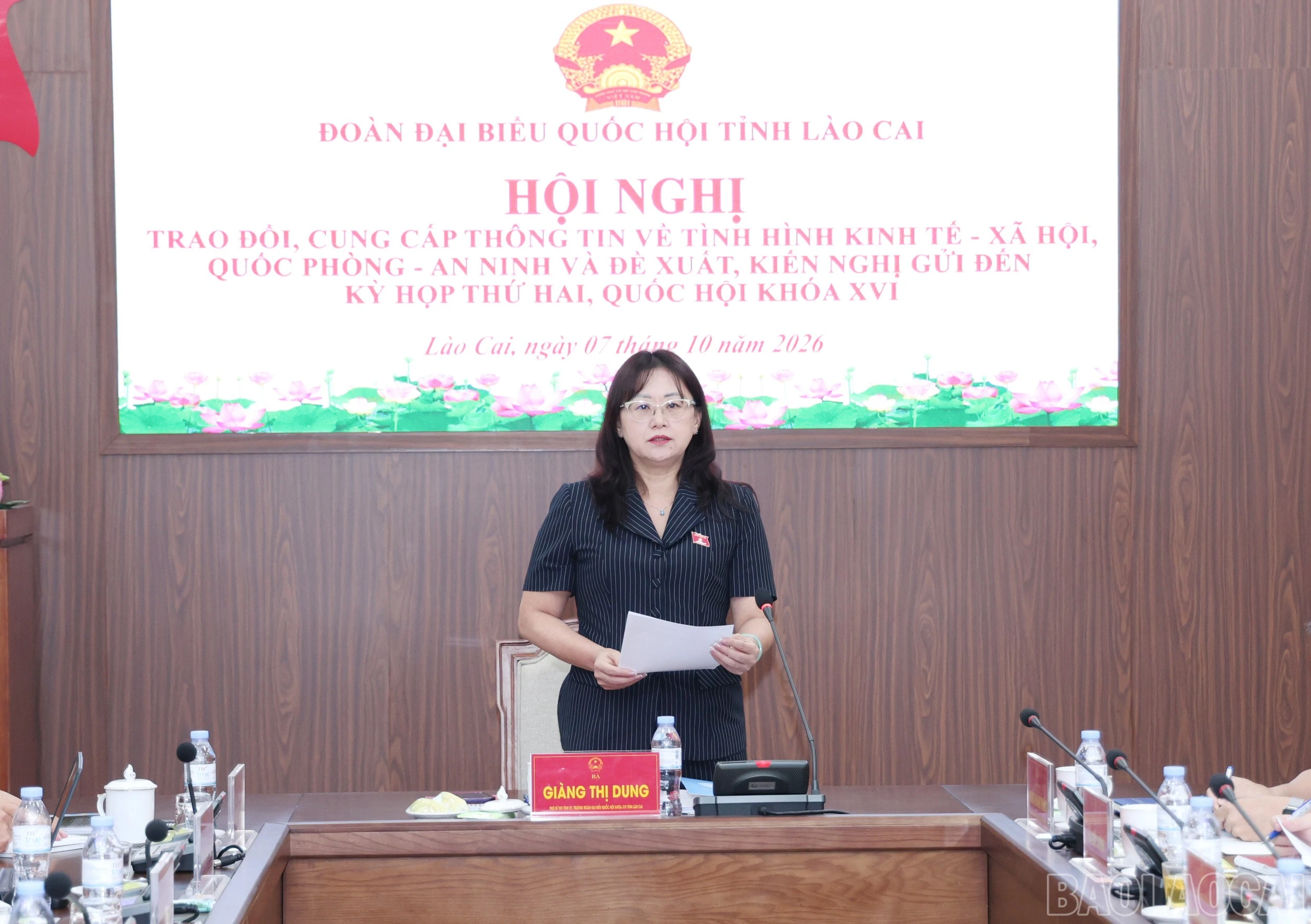 baolaocai-br_img-3325.jpg