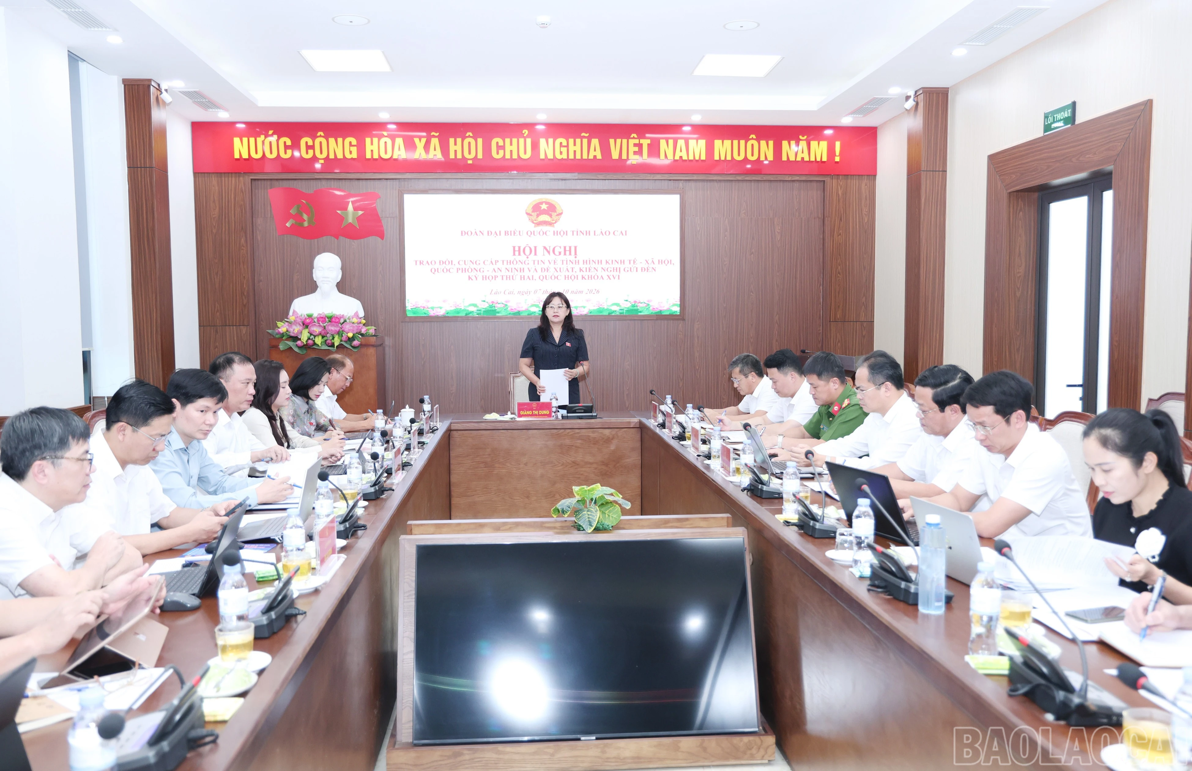 baolaocai-br_3309.jpg