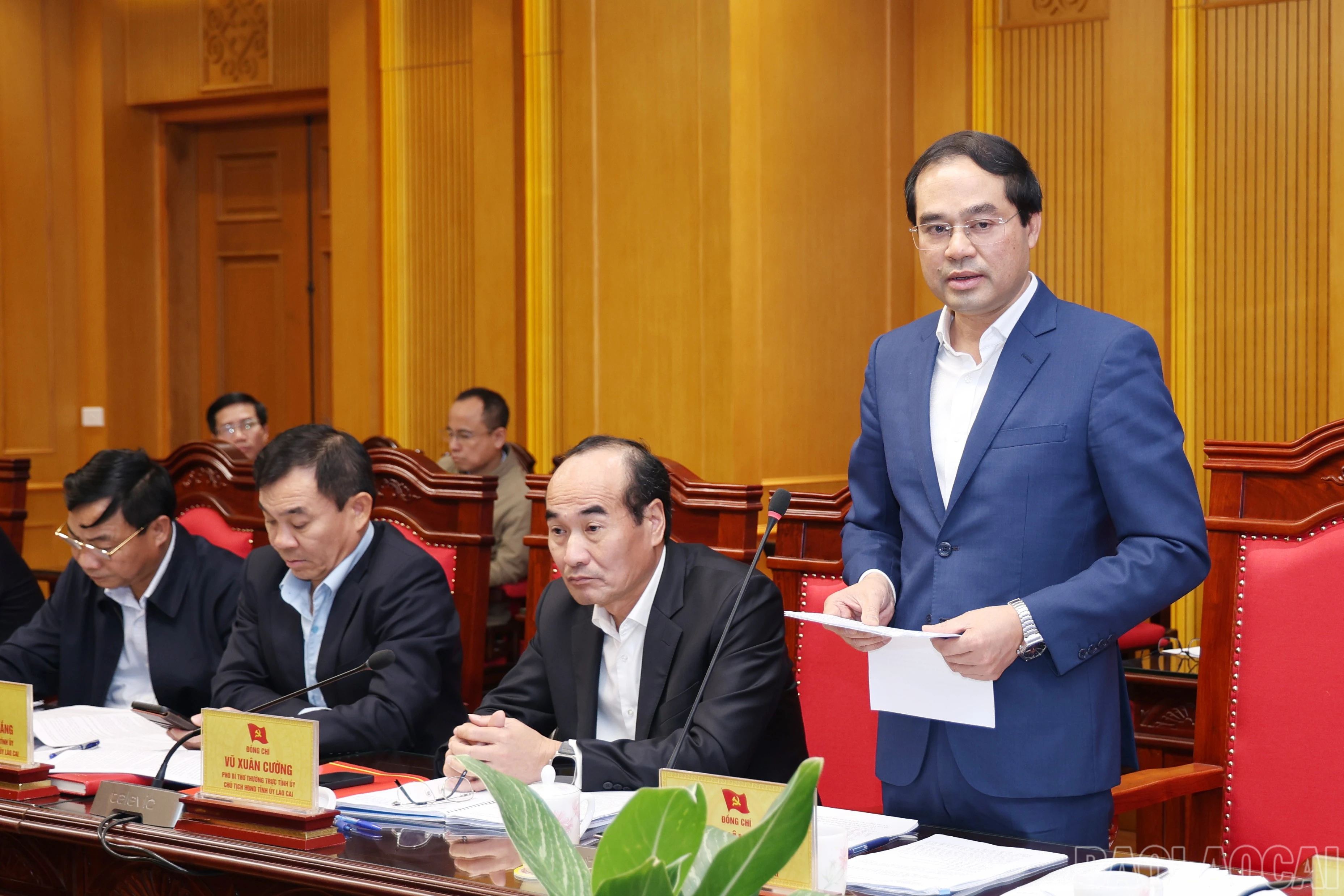 baolaocai-br_2027.jpg