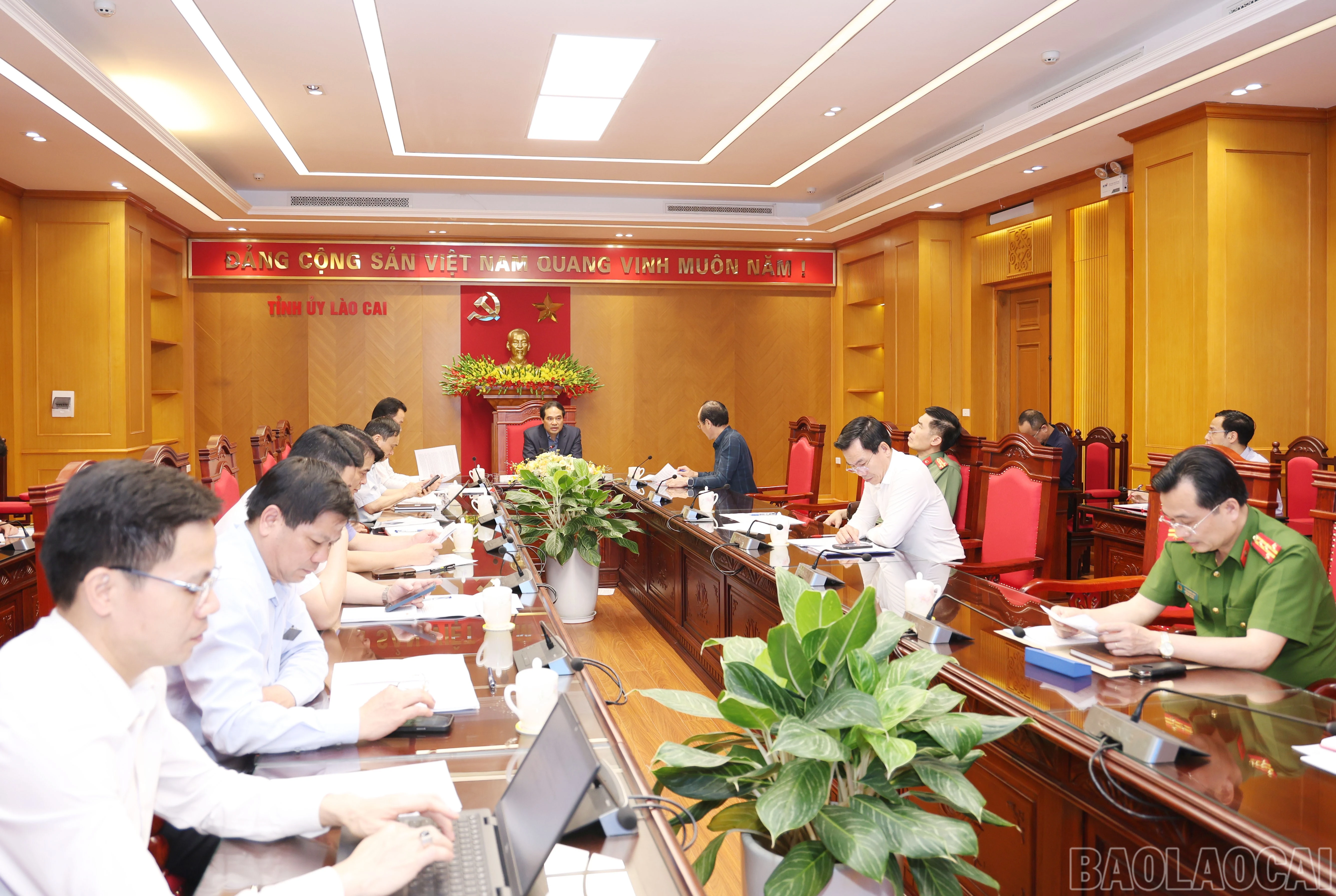 baolaocai-br_2633.jpg