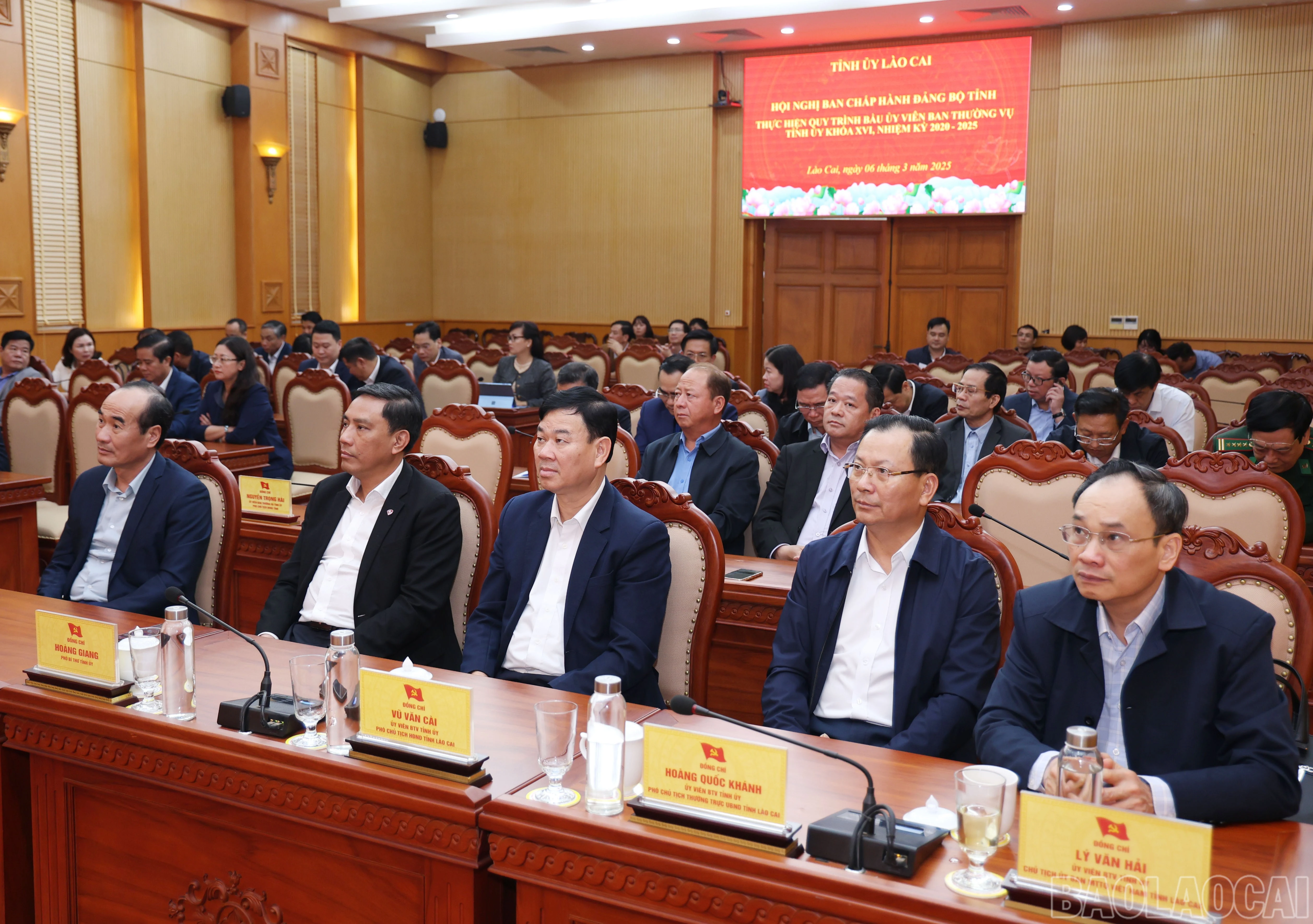 baolaocai-br_1604.jpg