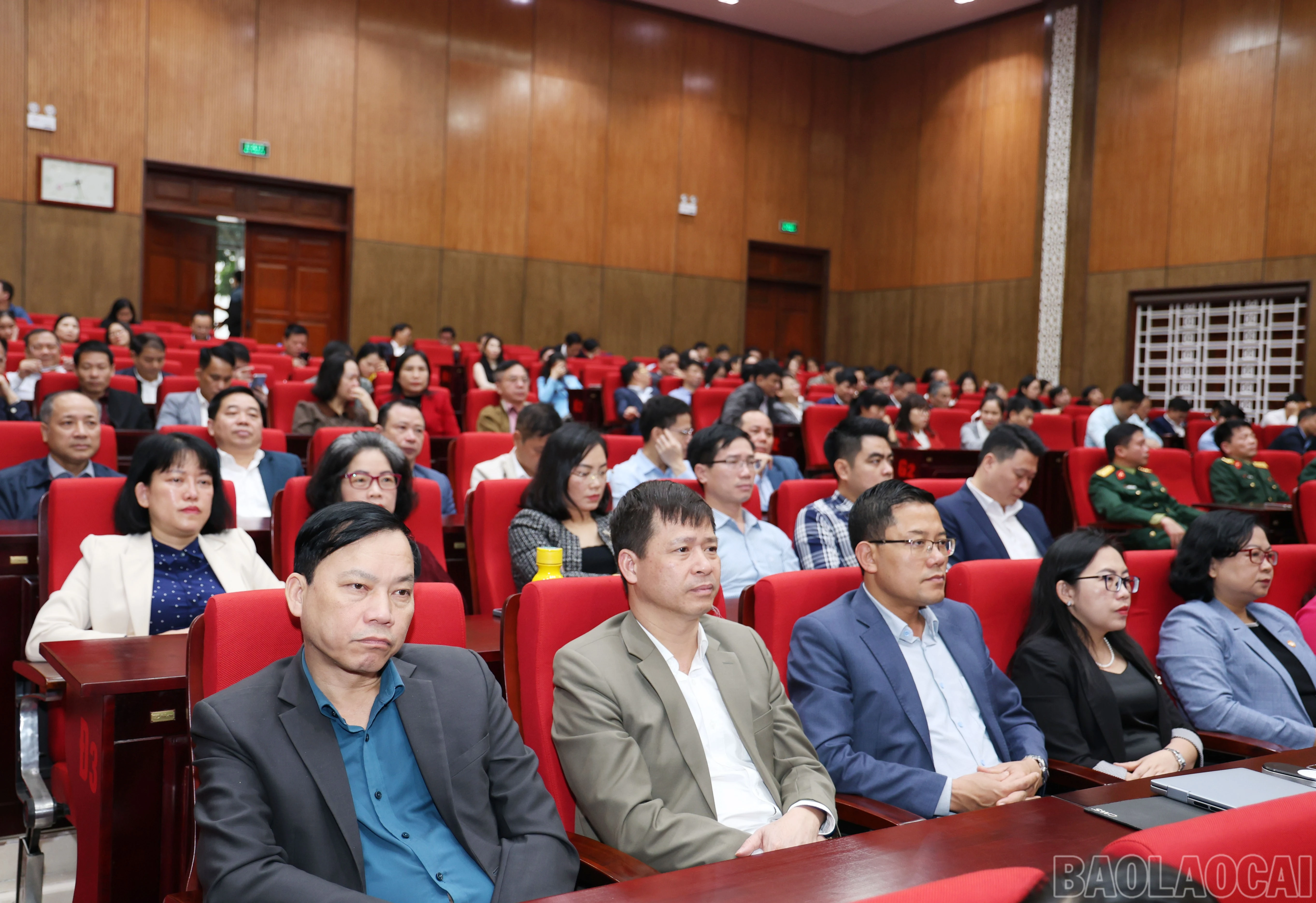 baolaocai-br_1539.jpg