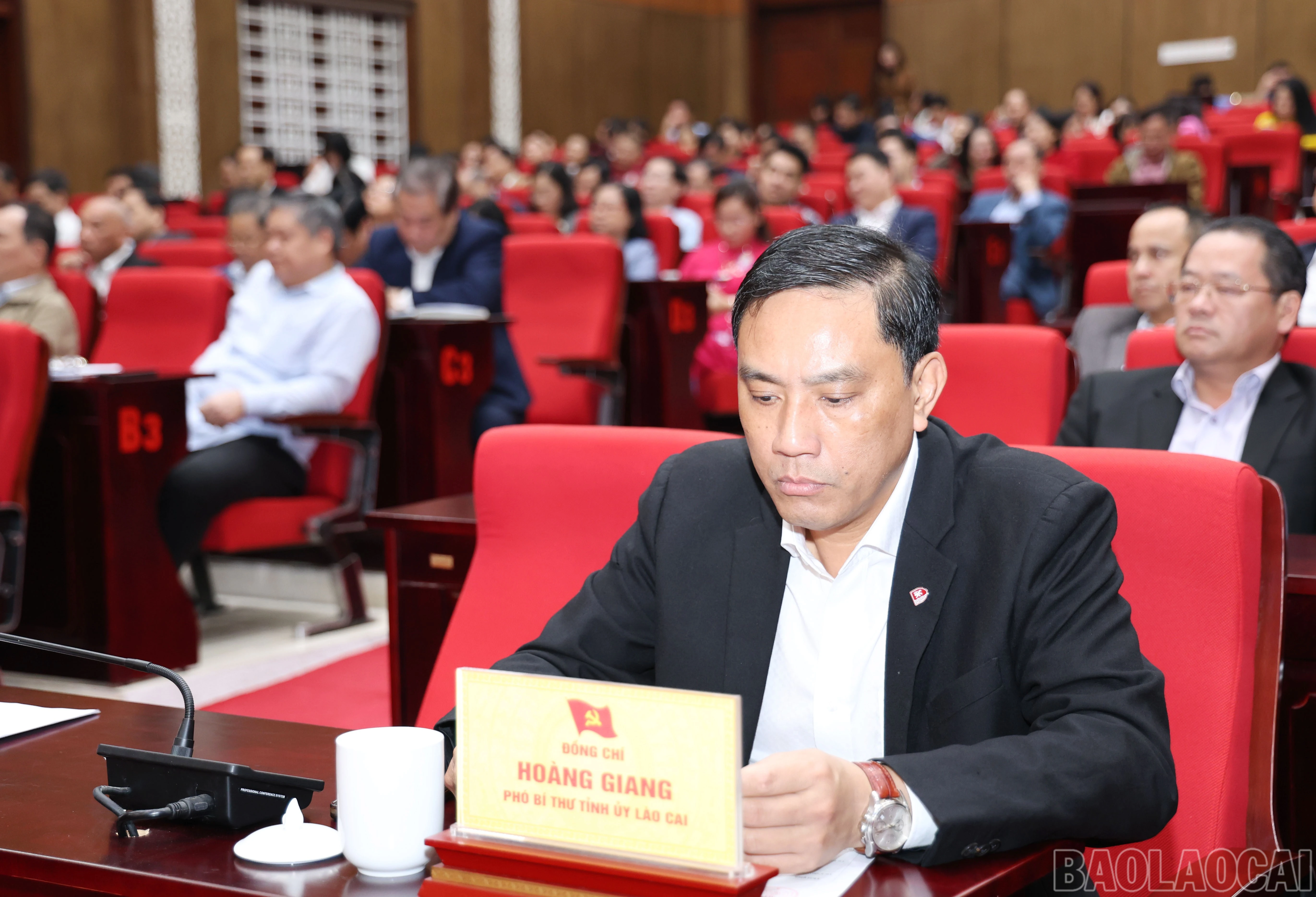 baolaocai-br_1501.jpg