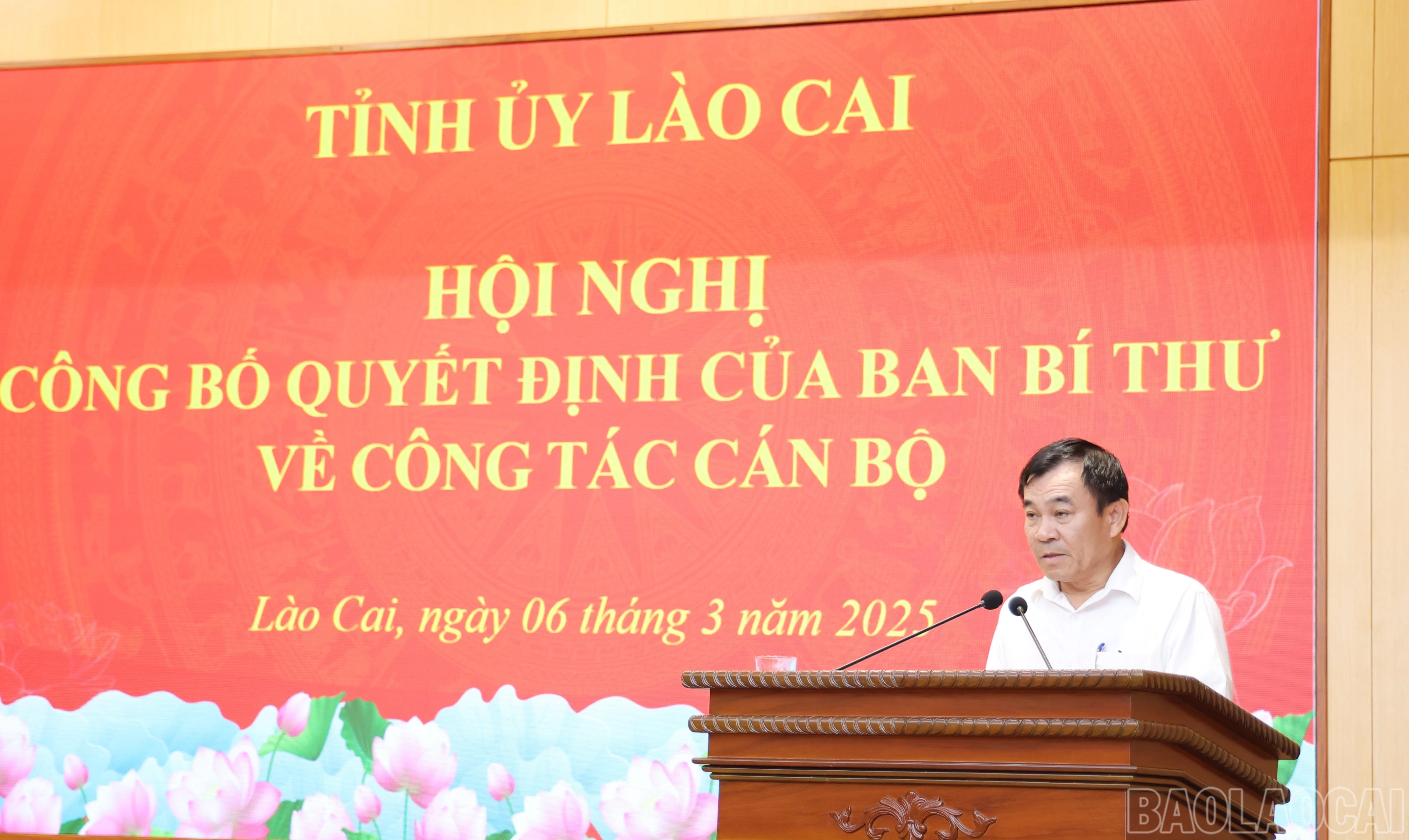 baolaocai-br_1585.jpg