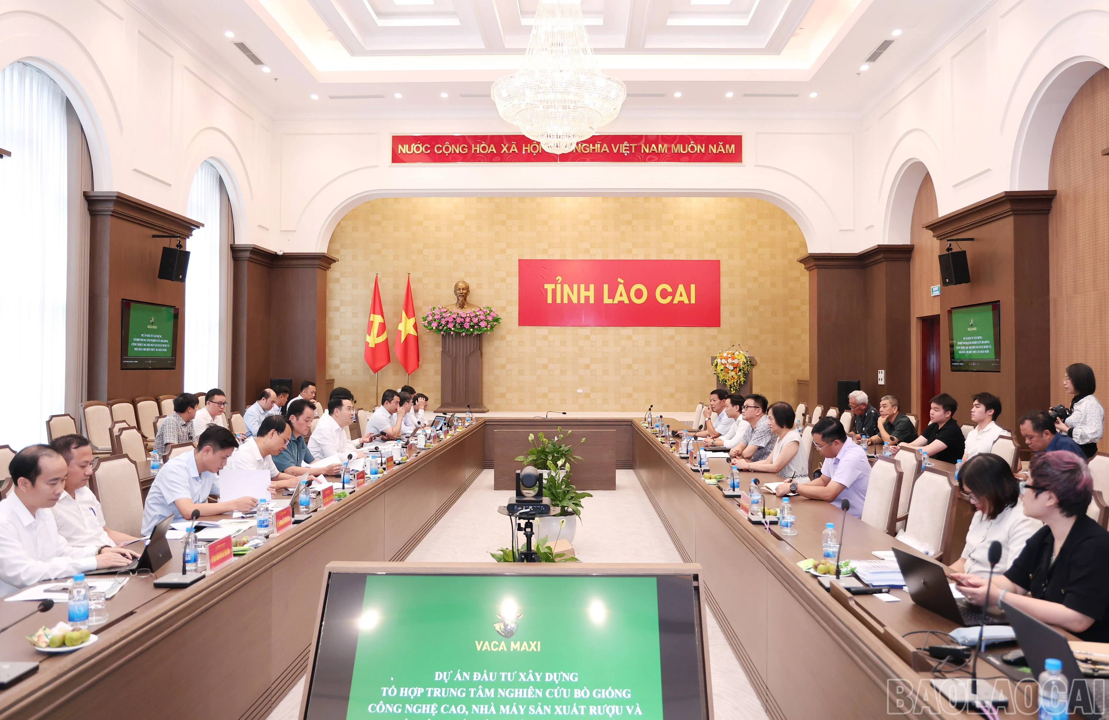 baolaocai-br_img-9465.jpg