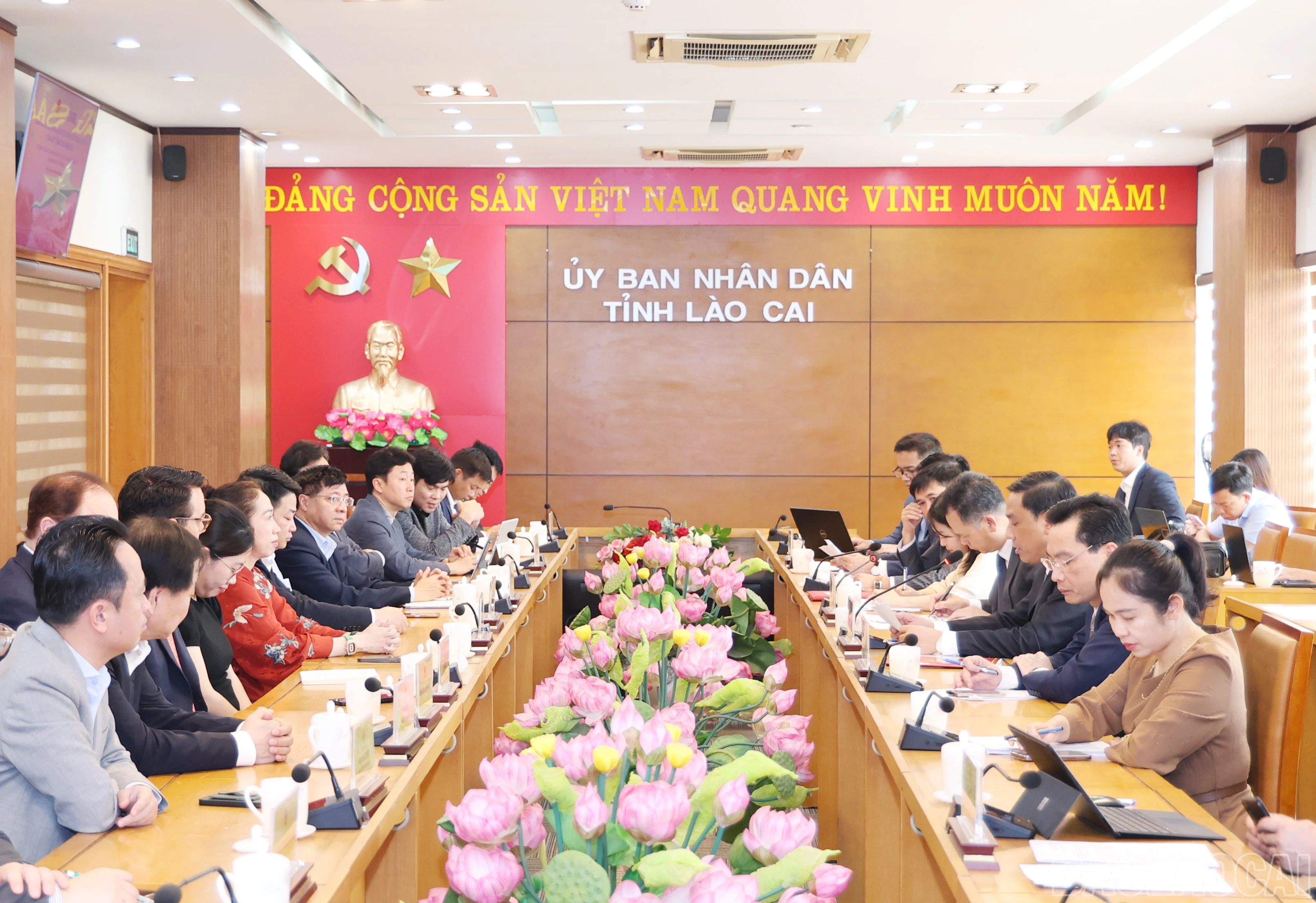 baolaocai-br_1802.jpg