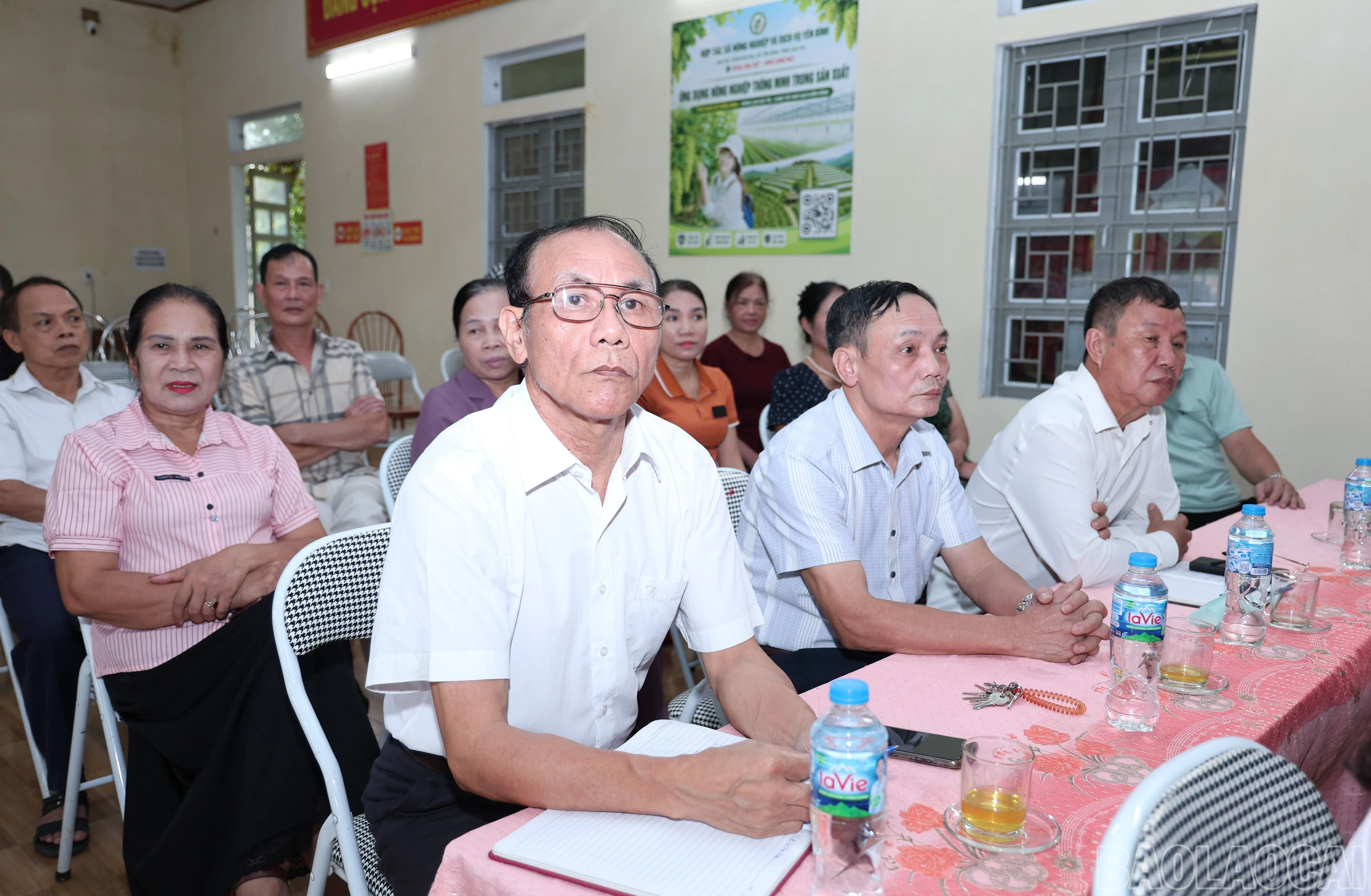 baolaocai-br_img-2113.jpg