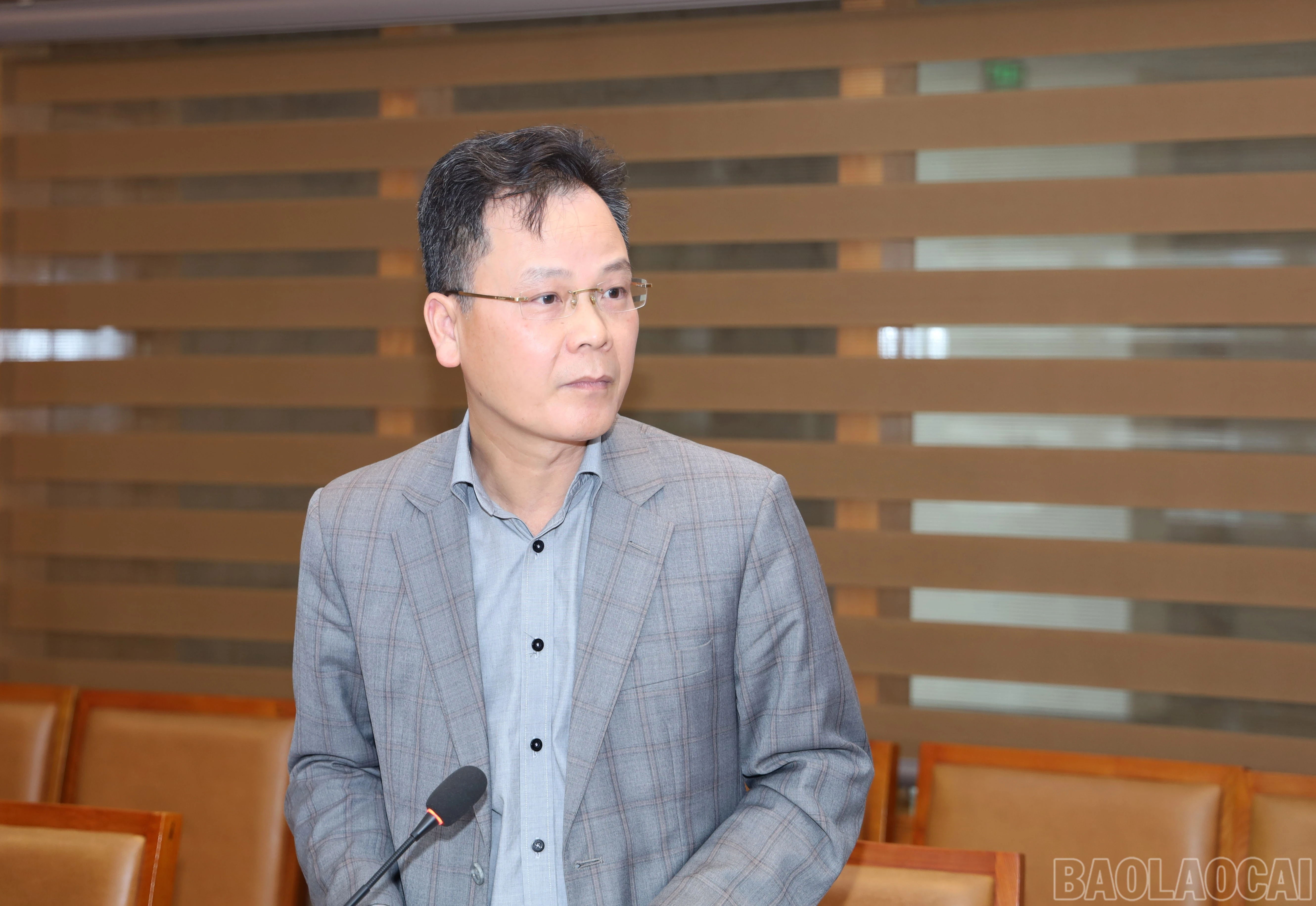 baolaocai-br_0296.jpg