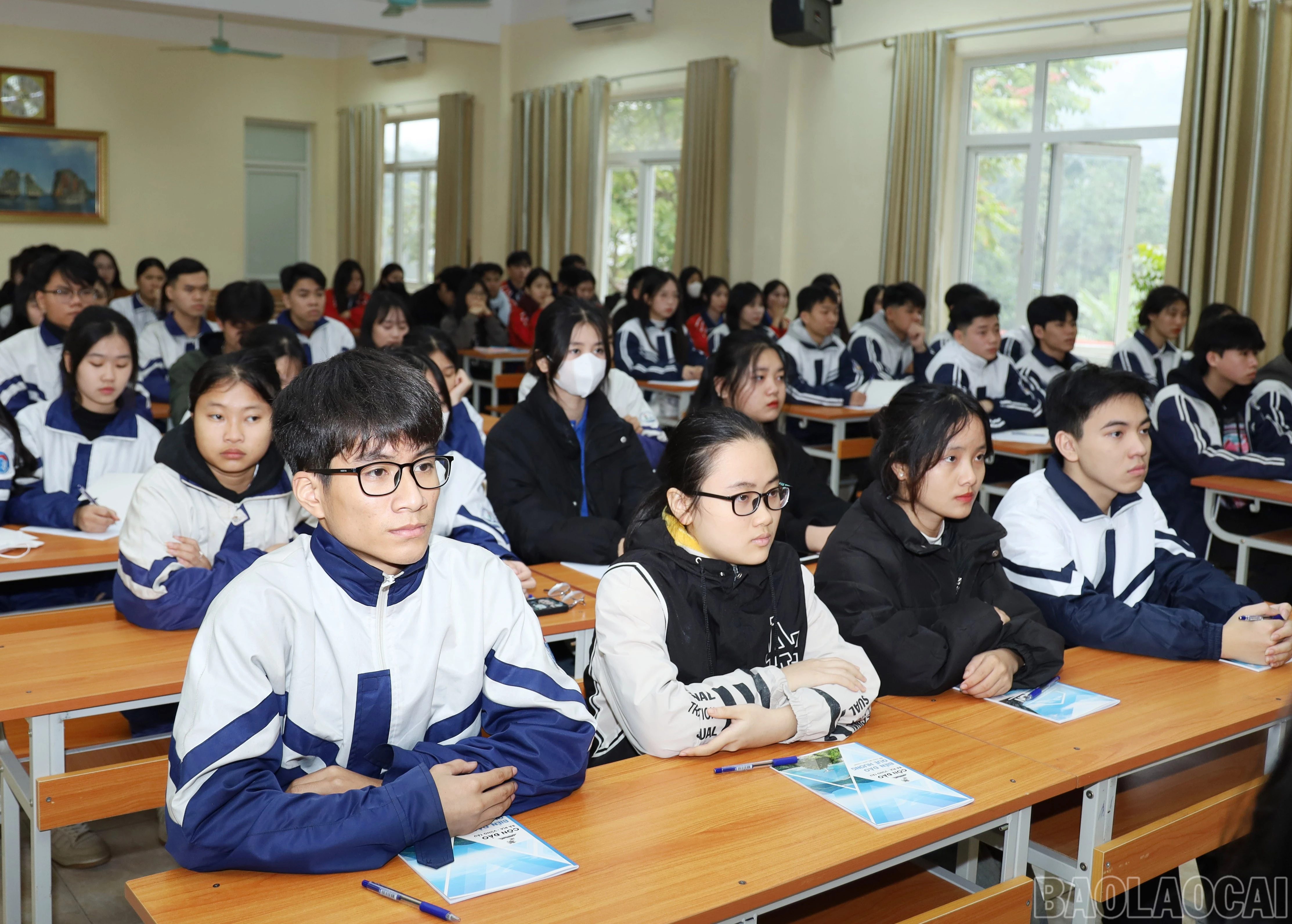 baolaocai-br_7745.jpg