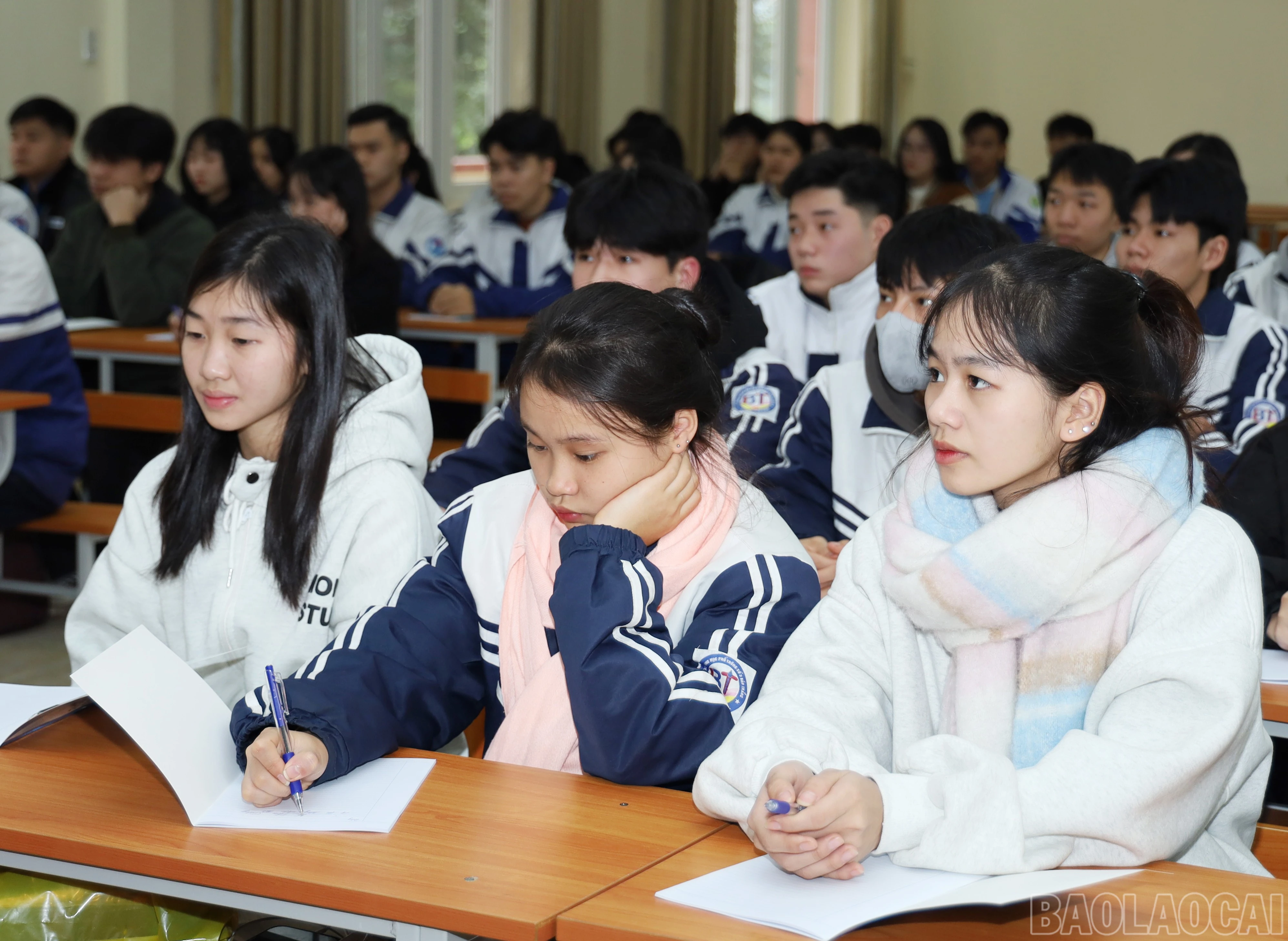 baolaocai-br_7754.jpg