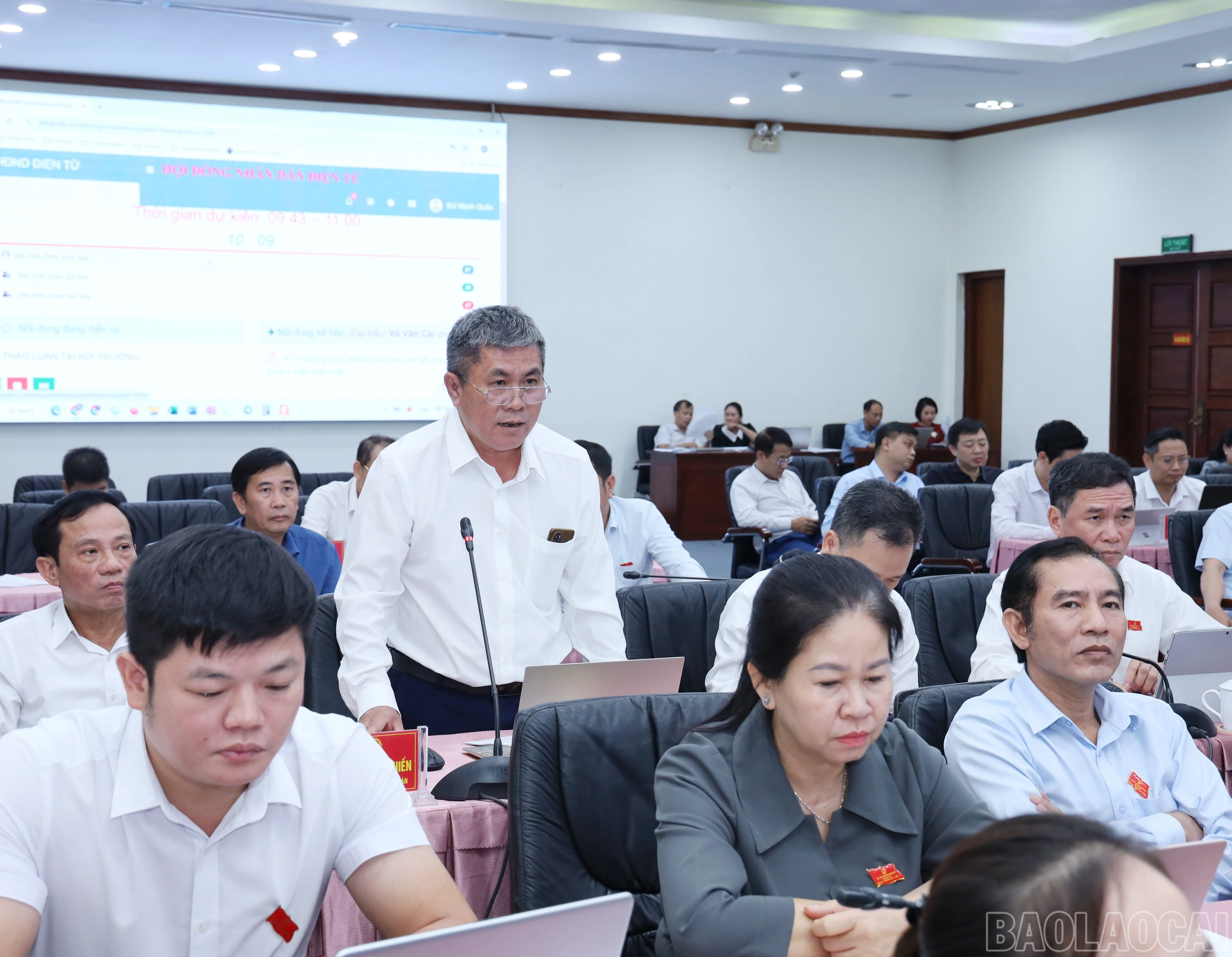 baolaocai-br_9806.jpg