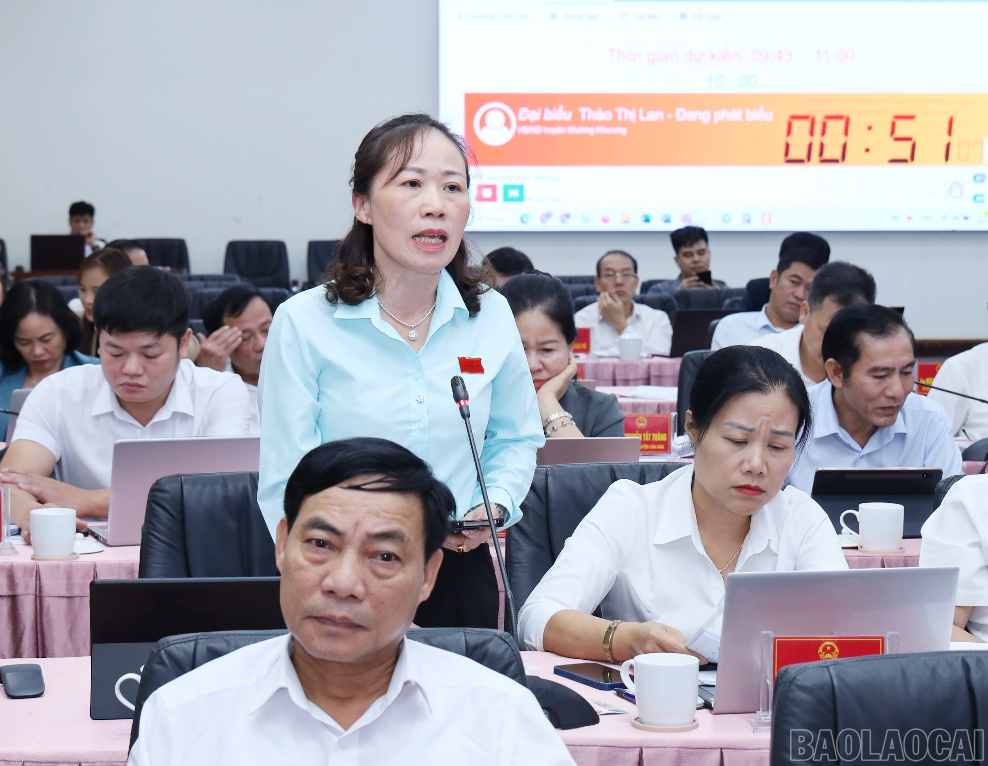 baolaocai-br_9798.jpg