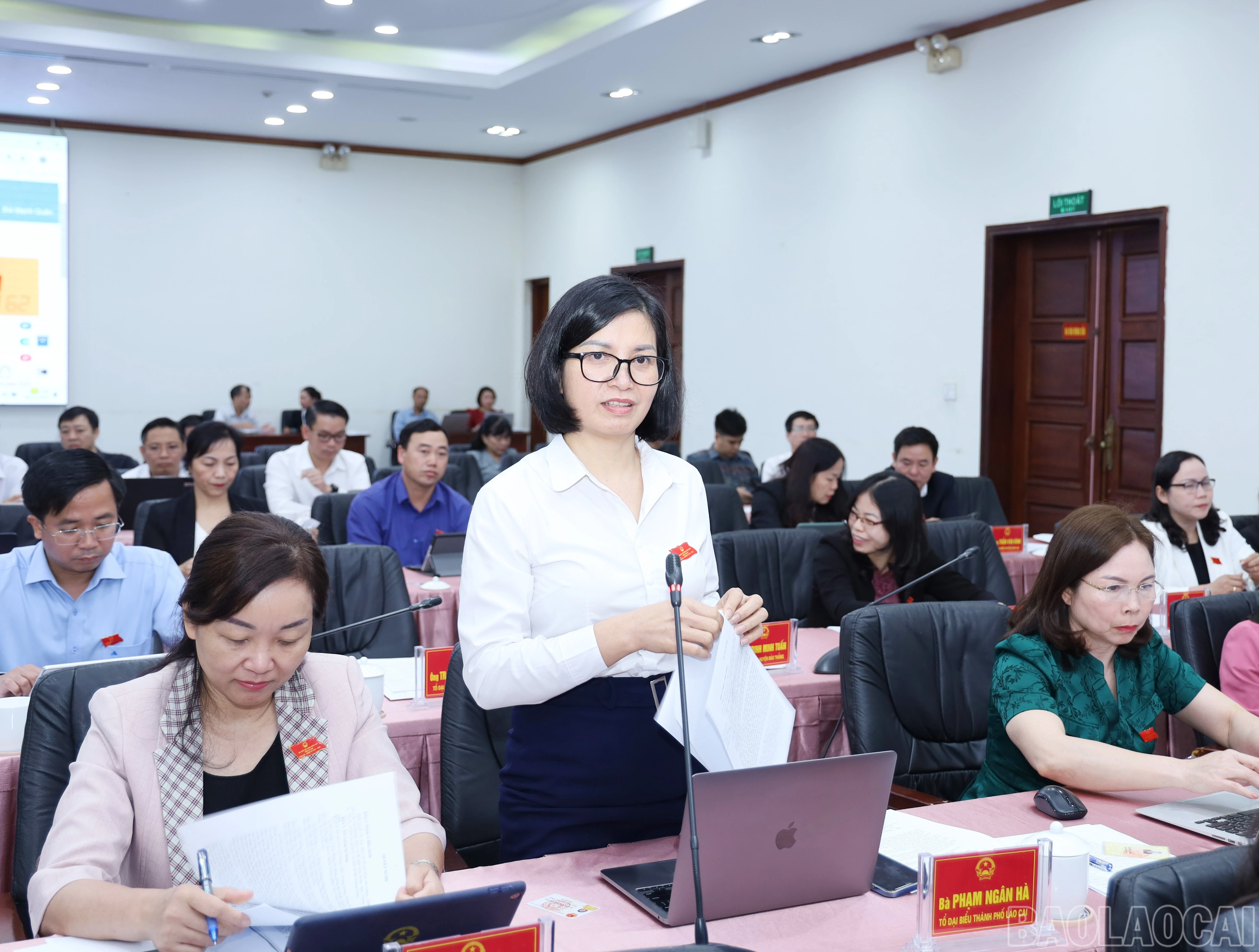baolaocai-br_9810.jpg