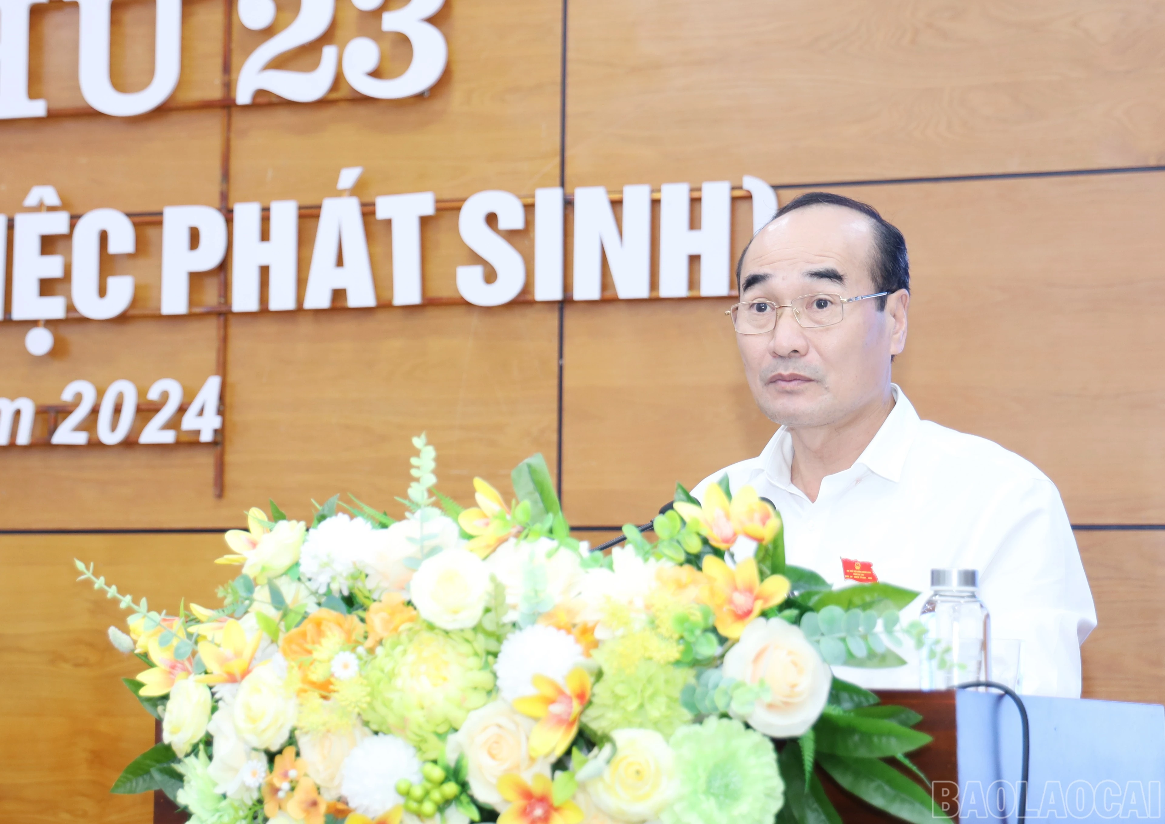 baolaocai-br_9712.jpg