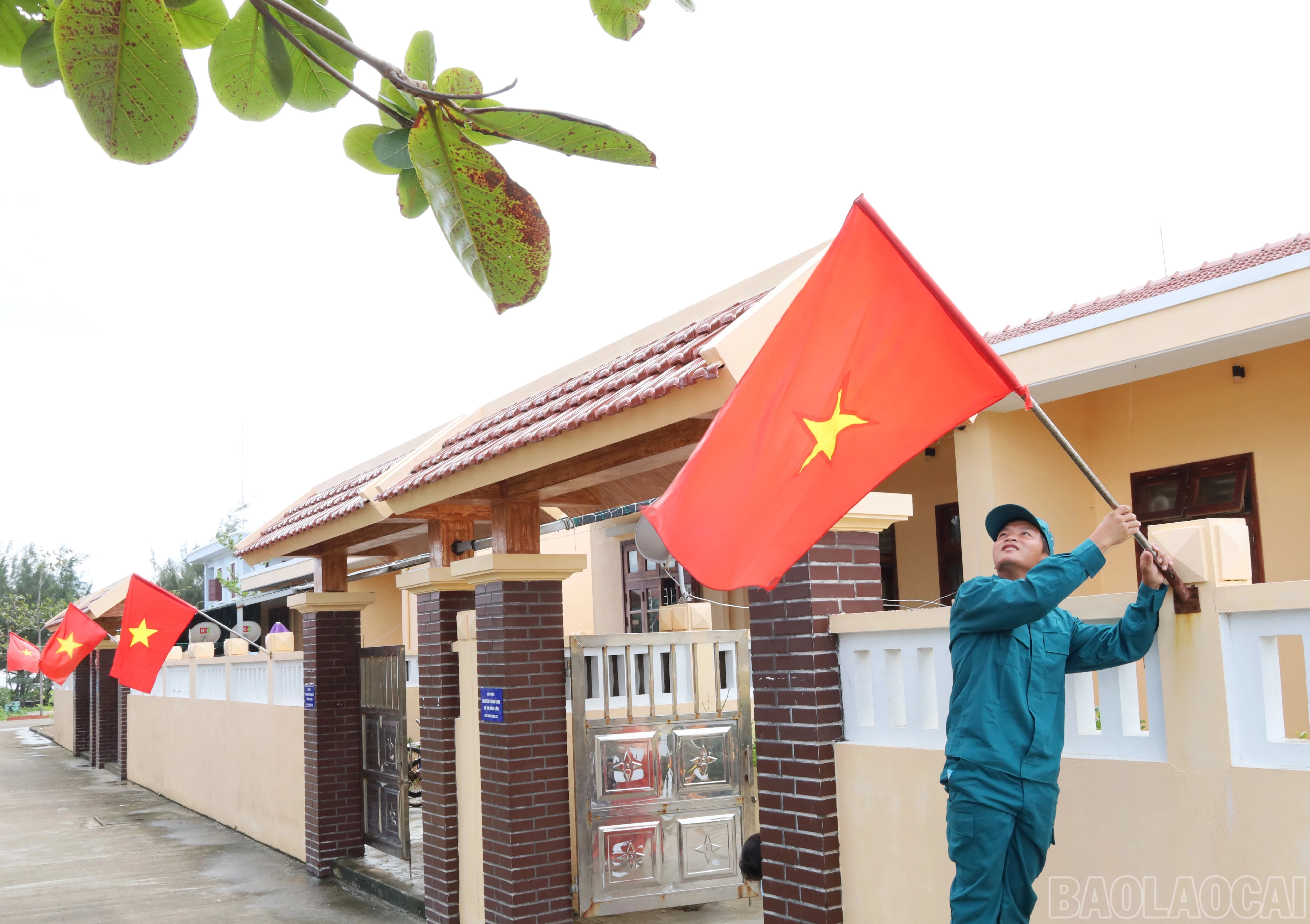baolaocai-br_9991.jpg