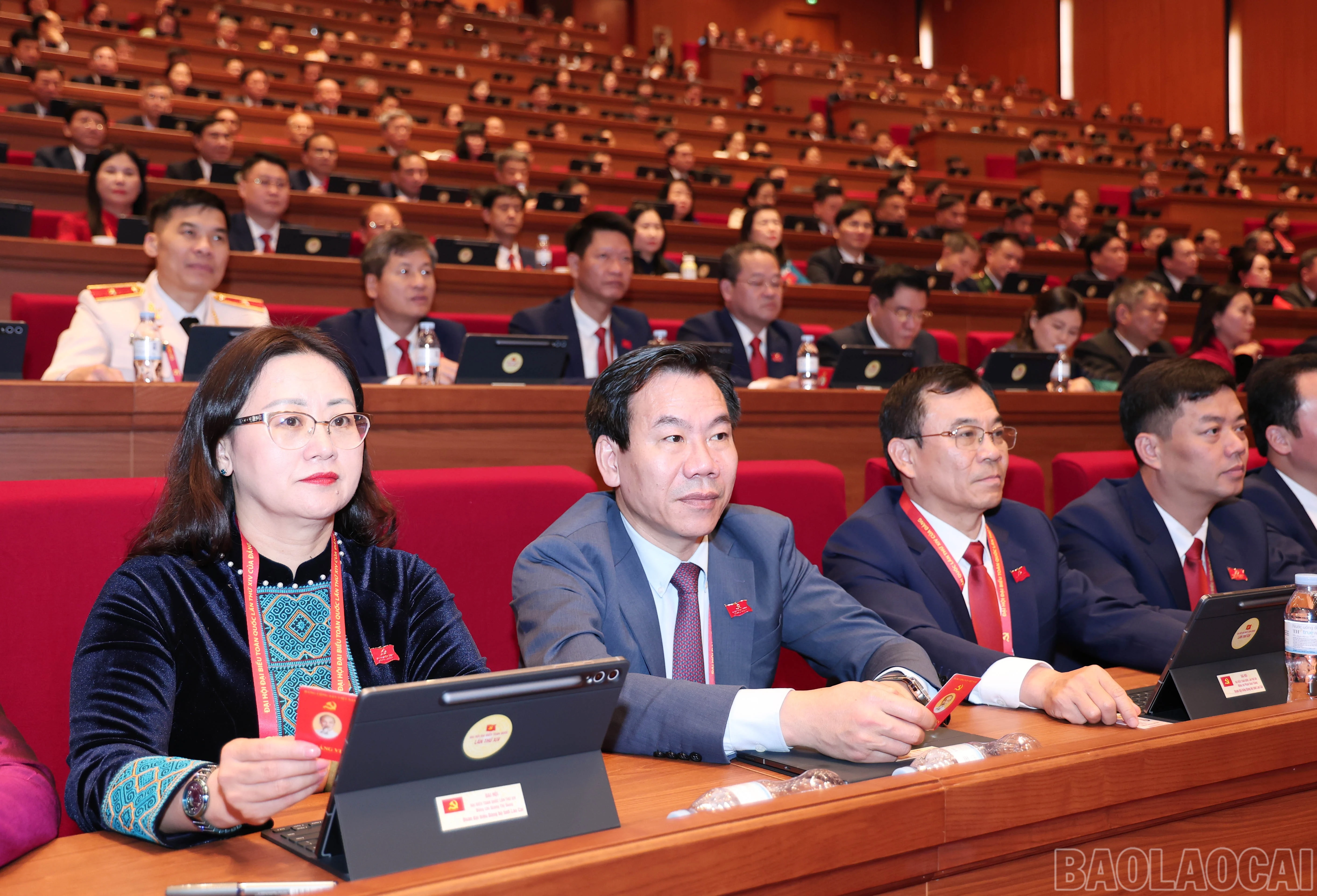 baolaocai-br_img-6631.jpg