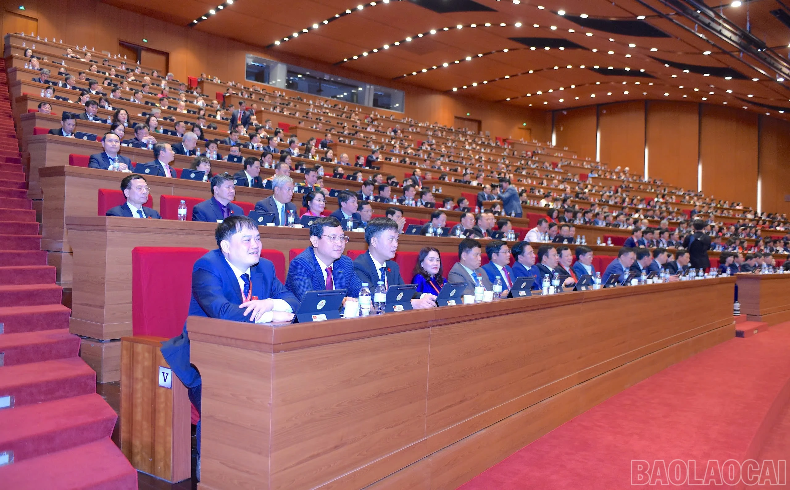 baolaocai-br_z7457347325110-319312a2cdcc83657c68058bf3b0023c.jpg