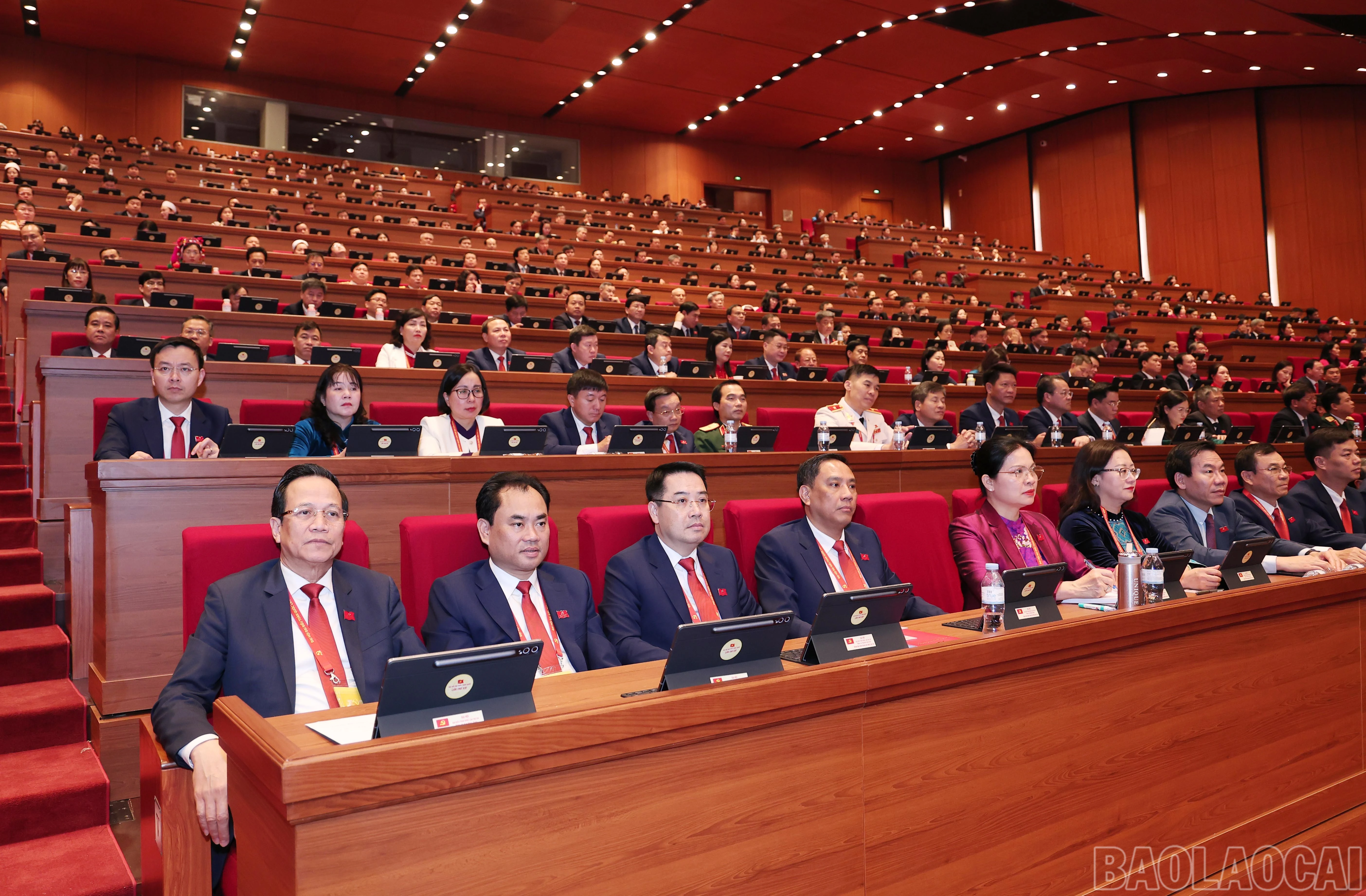 baolaocai-br_img-6586.jpg