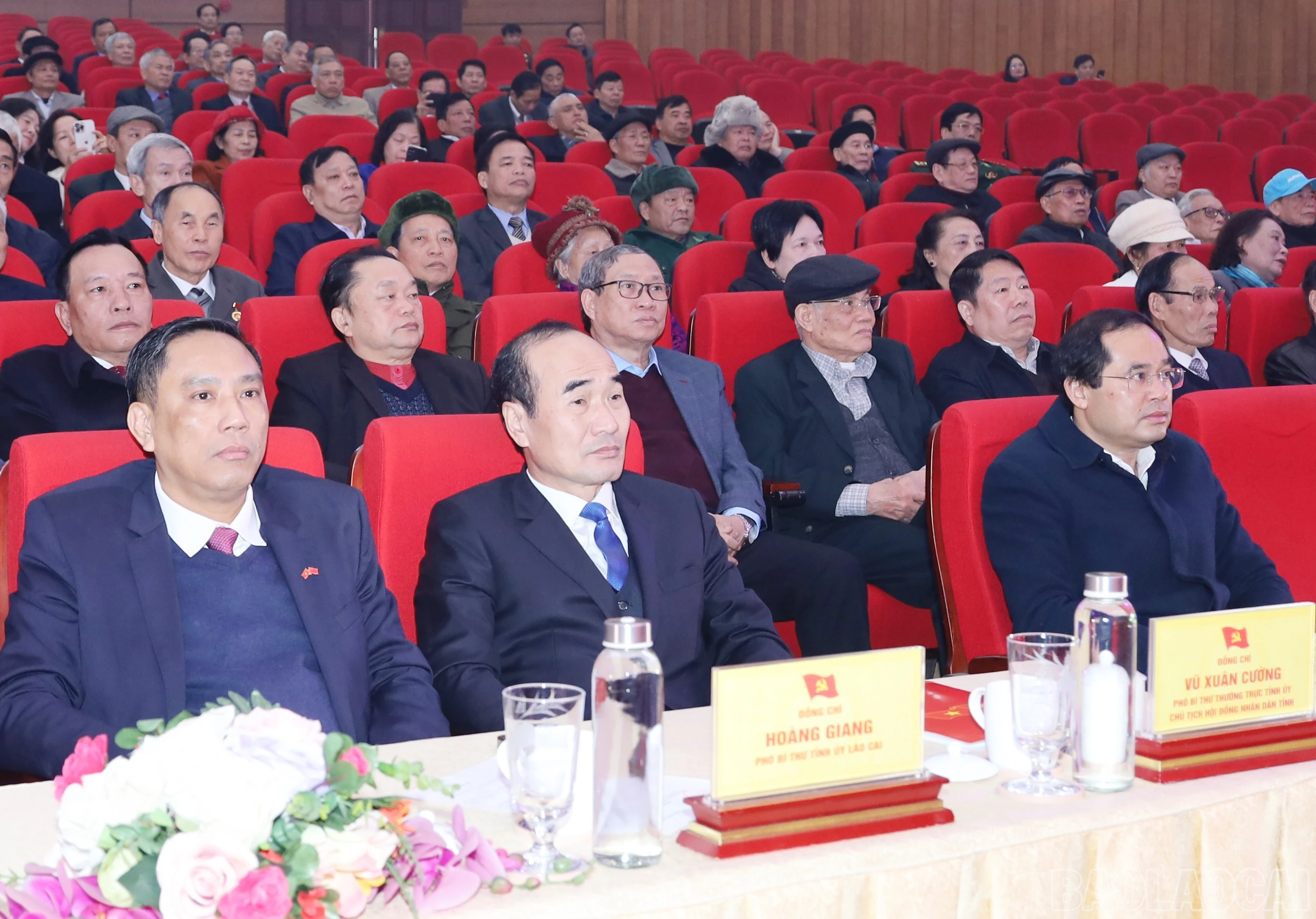 baolaocai-br_8473.jpg