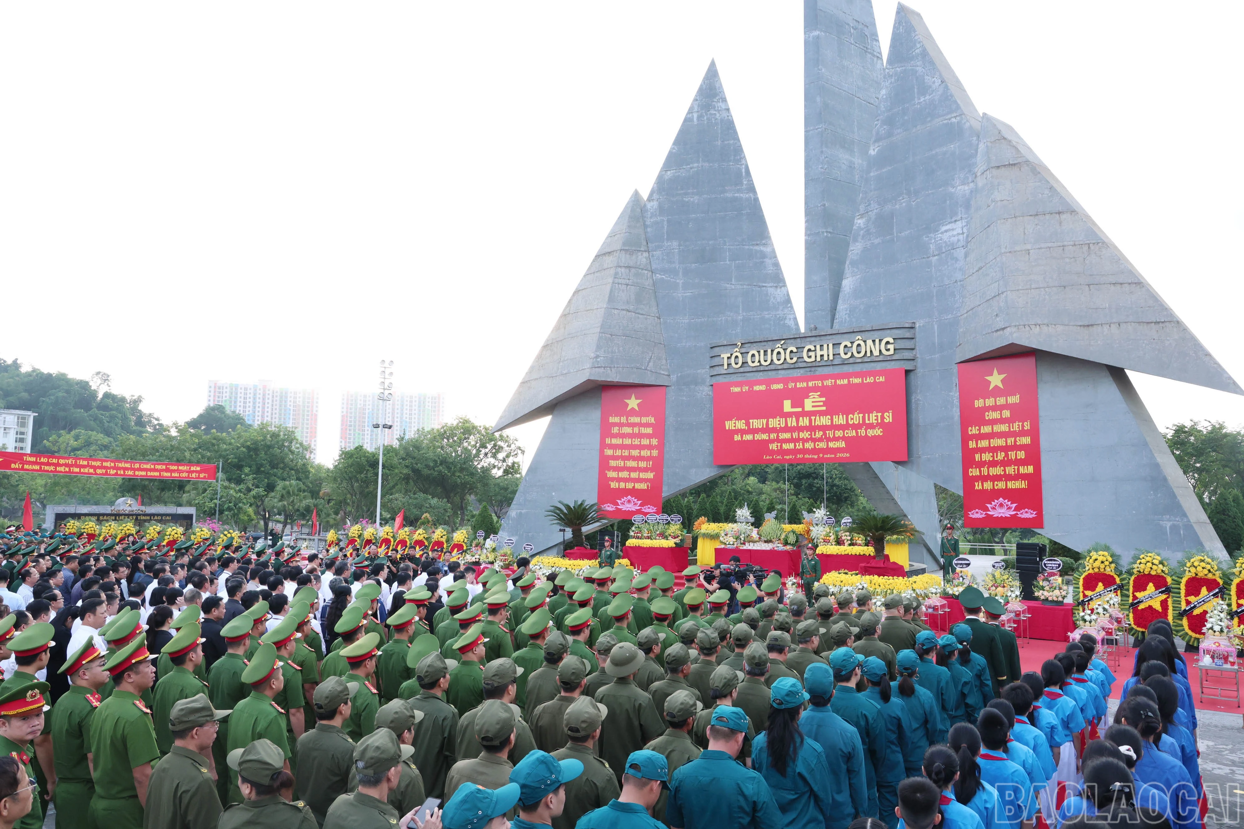 baolaocai-br_img-1430.jpg