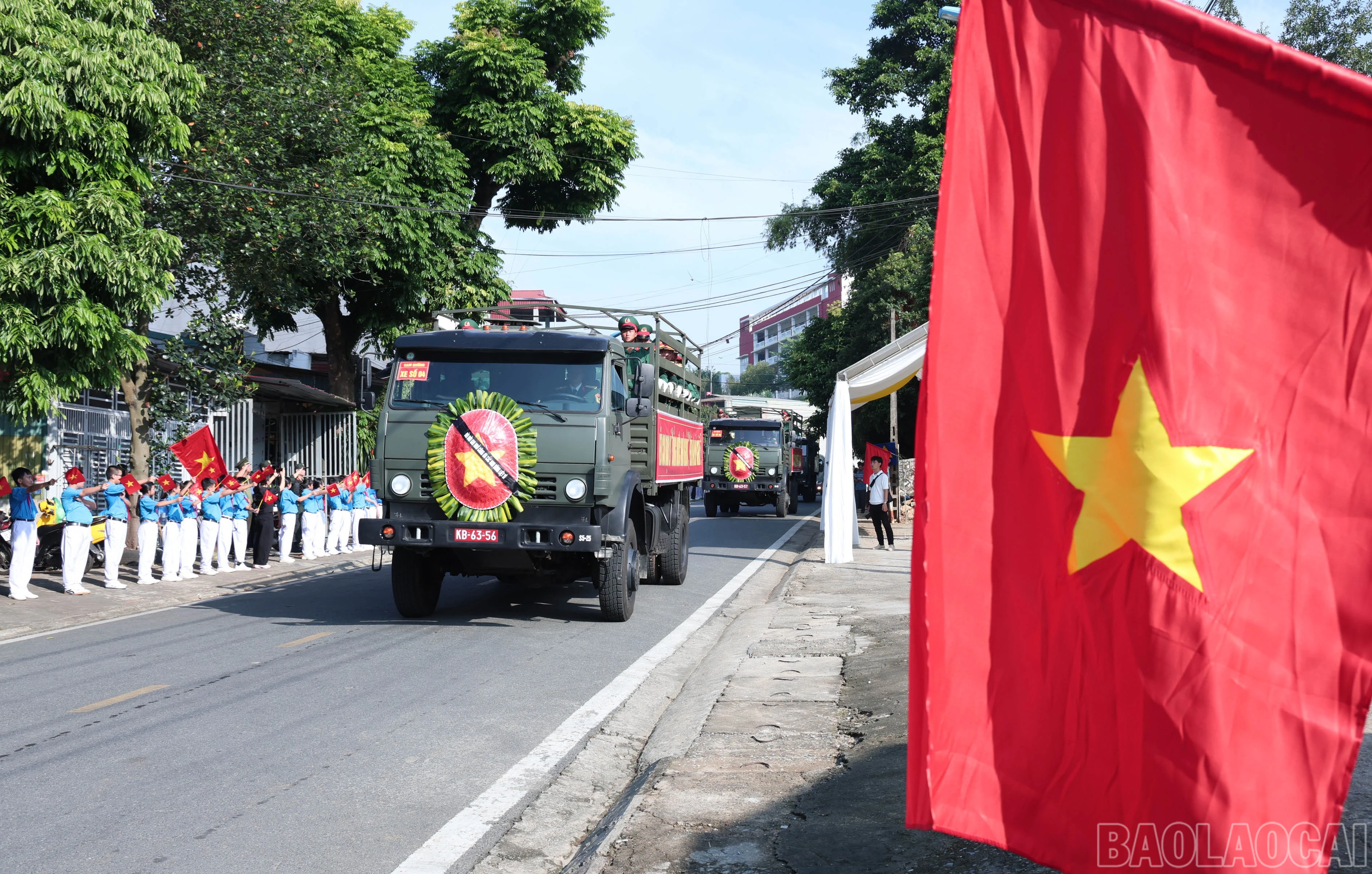 baolaocai-br_img-2281.jpg