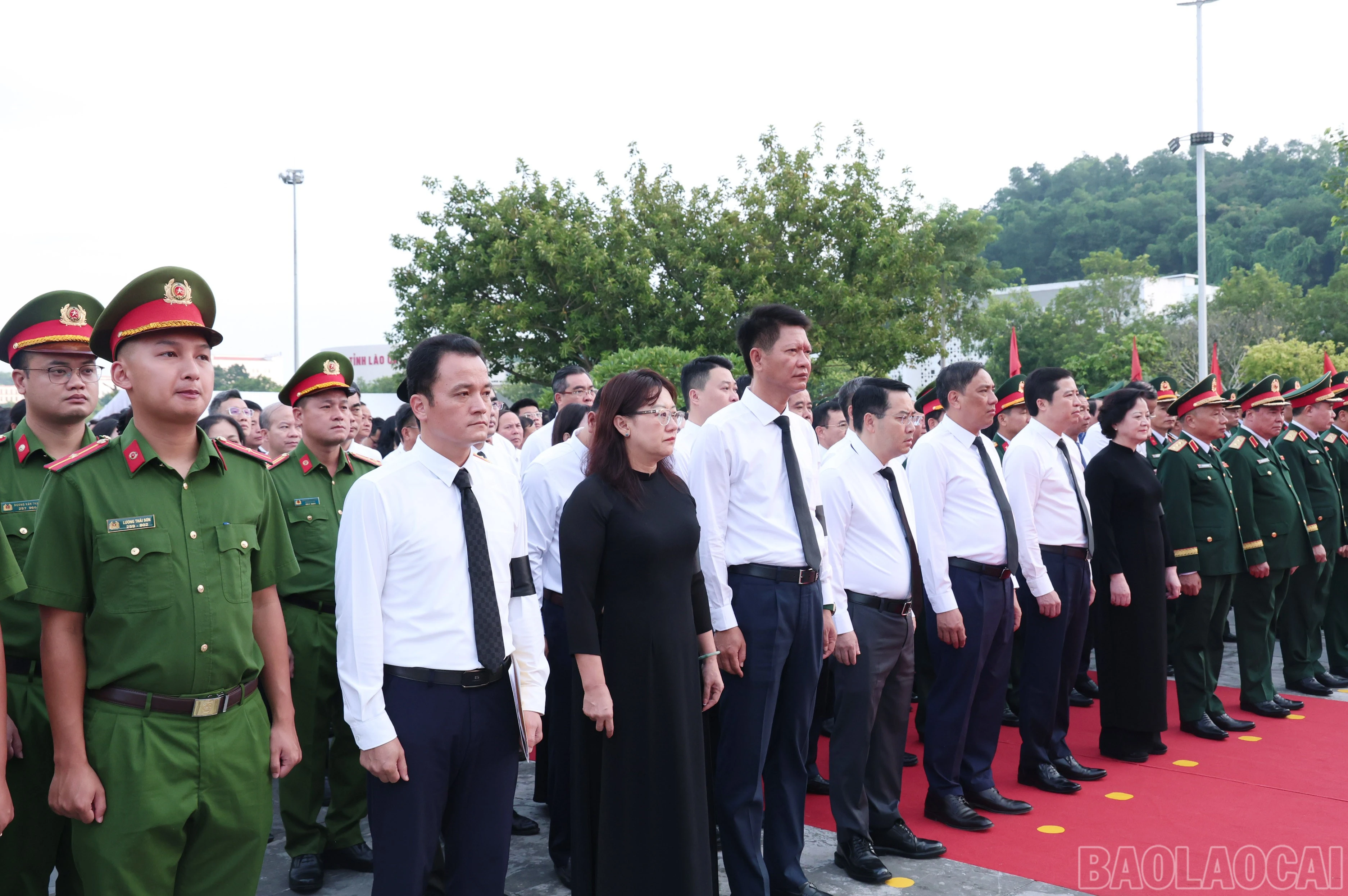 baolaocai-br_img-1450.jpg