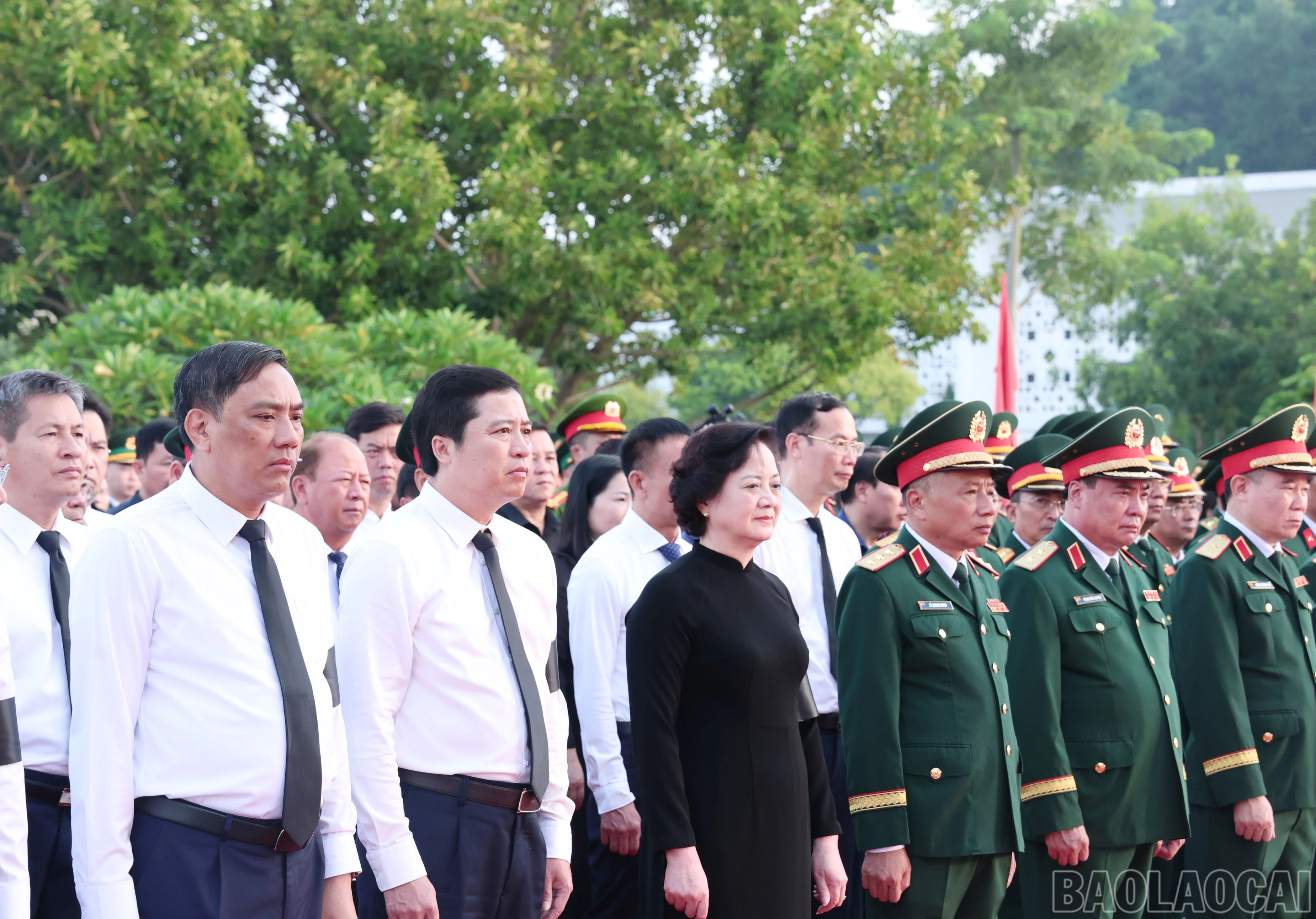 baolaocai-br_img-1577.jpg