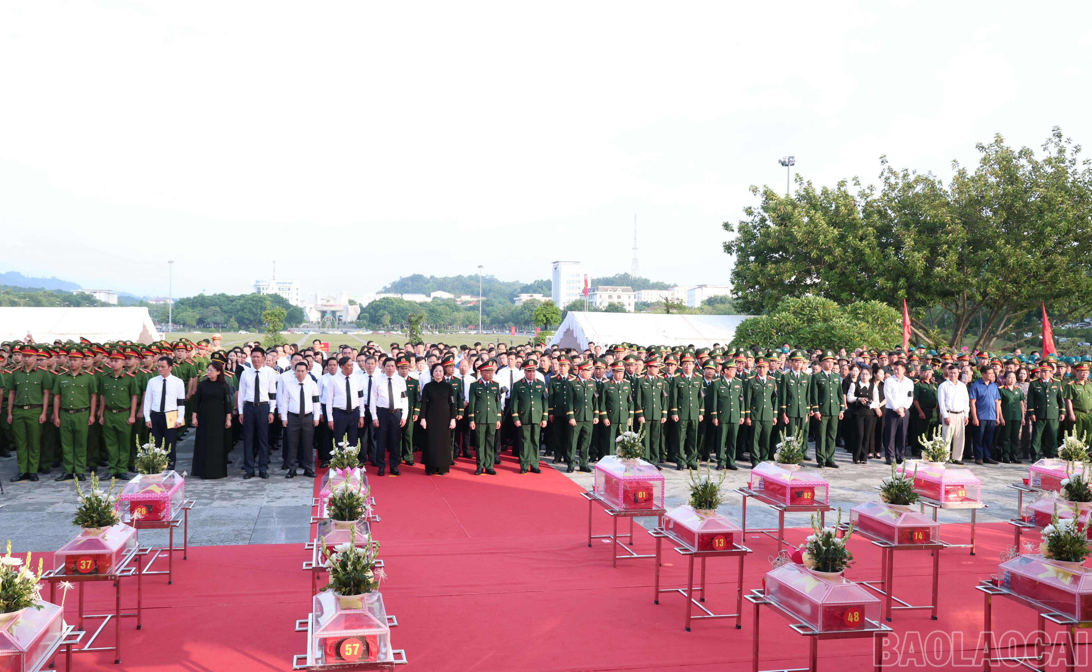 baolaocai-br_img-1593.jpg