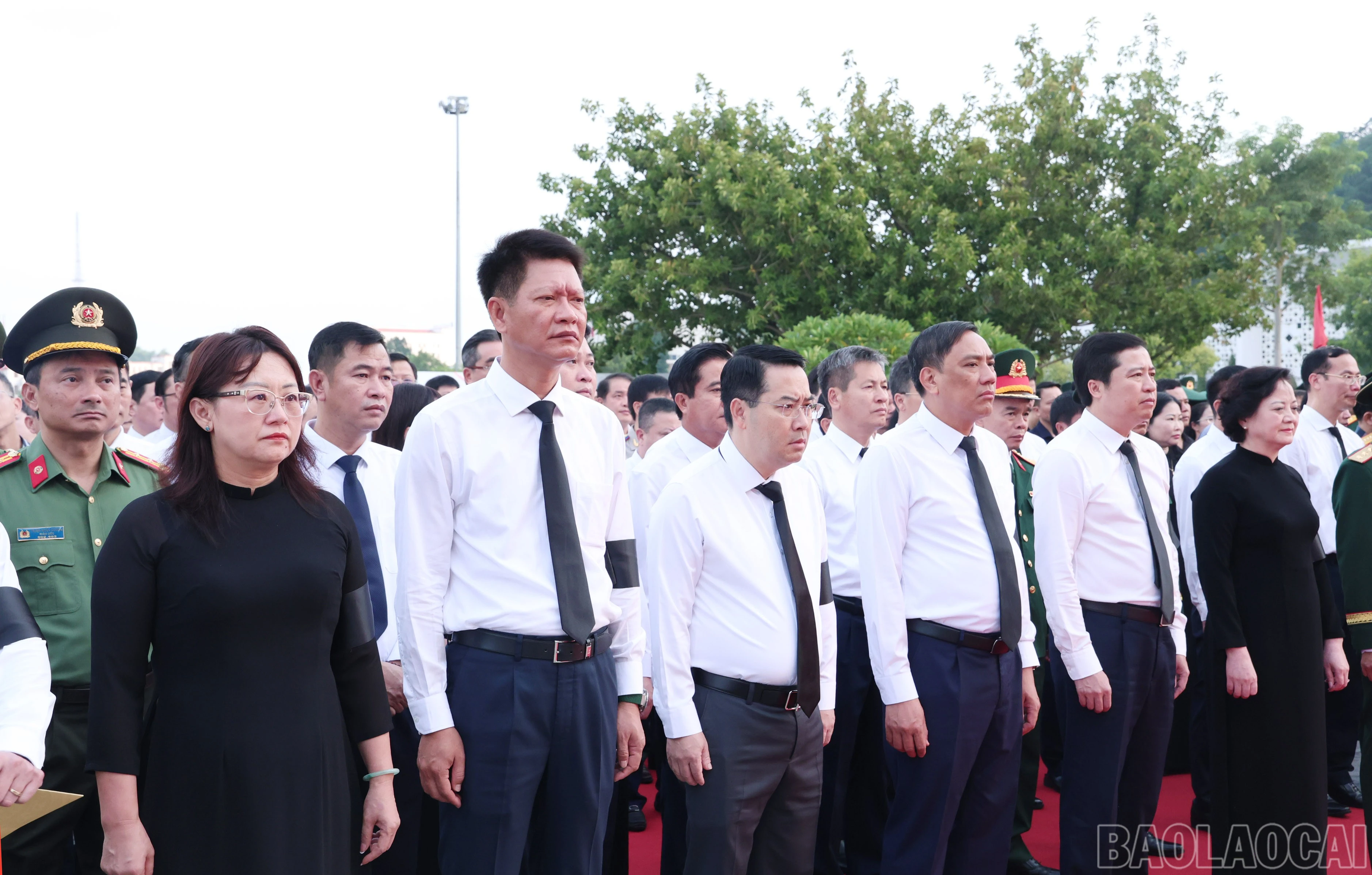 baolaocai-br_img-1458.jpg
