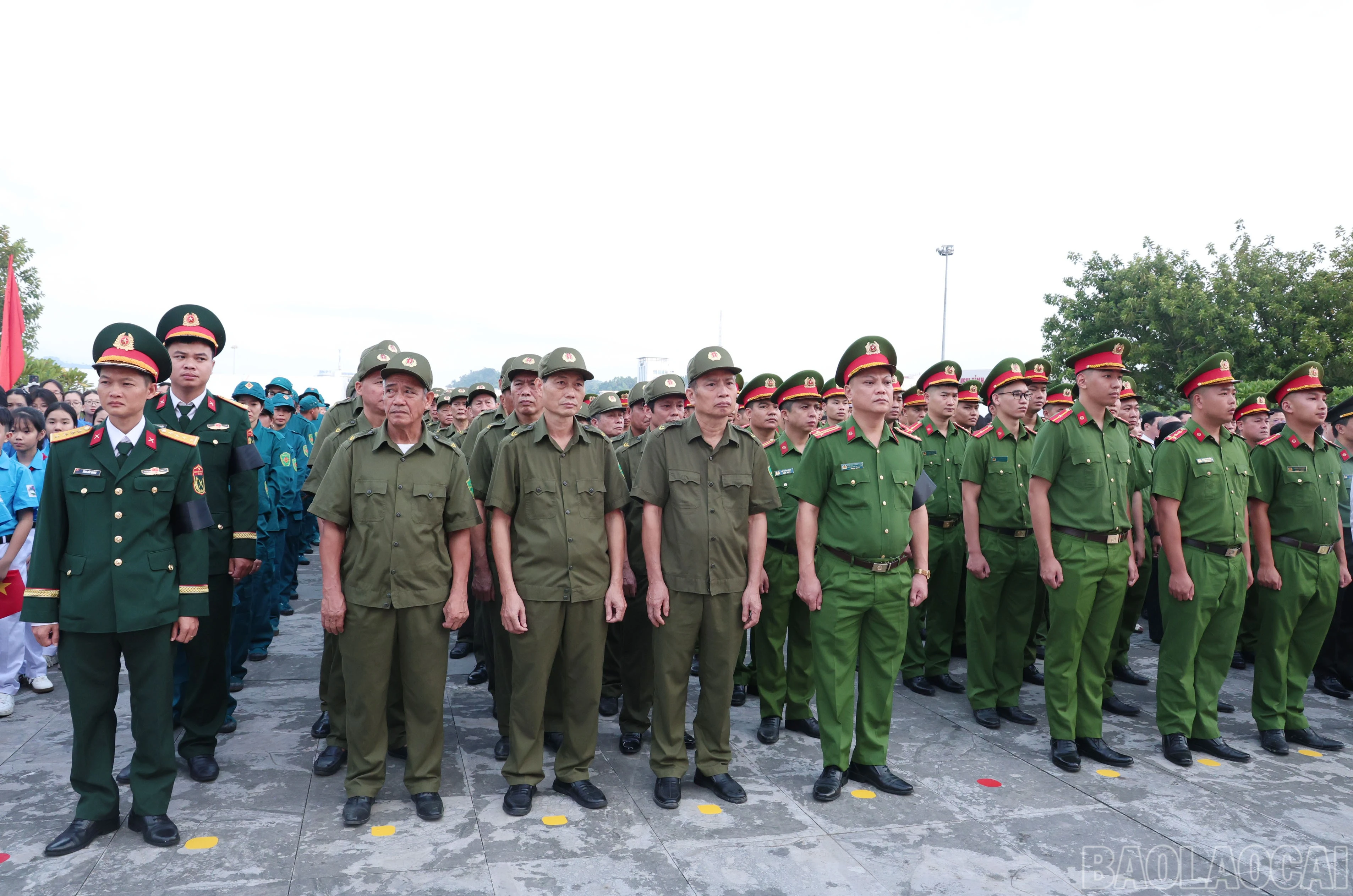 baolaocai-br_img-1445.jpg