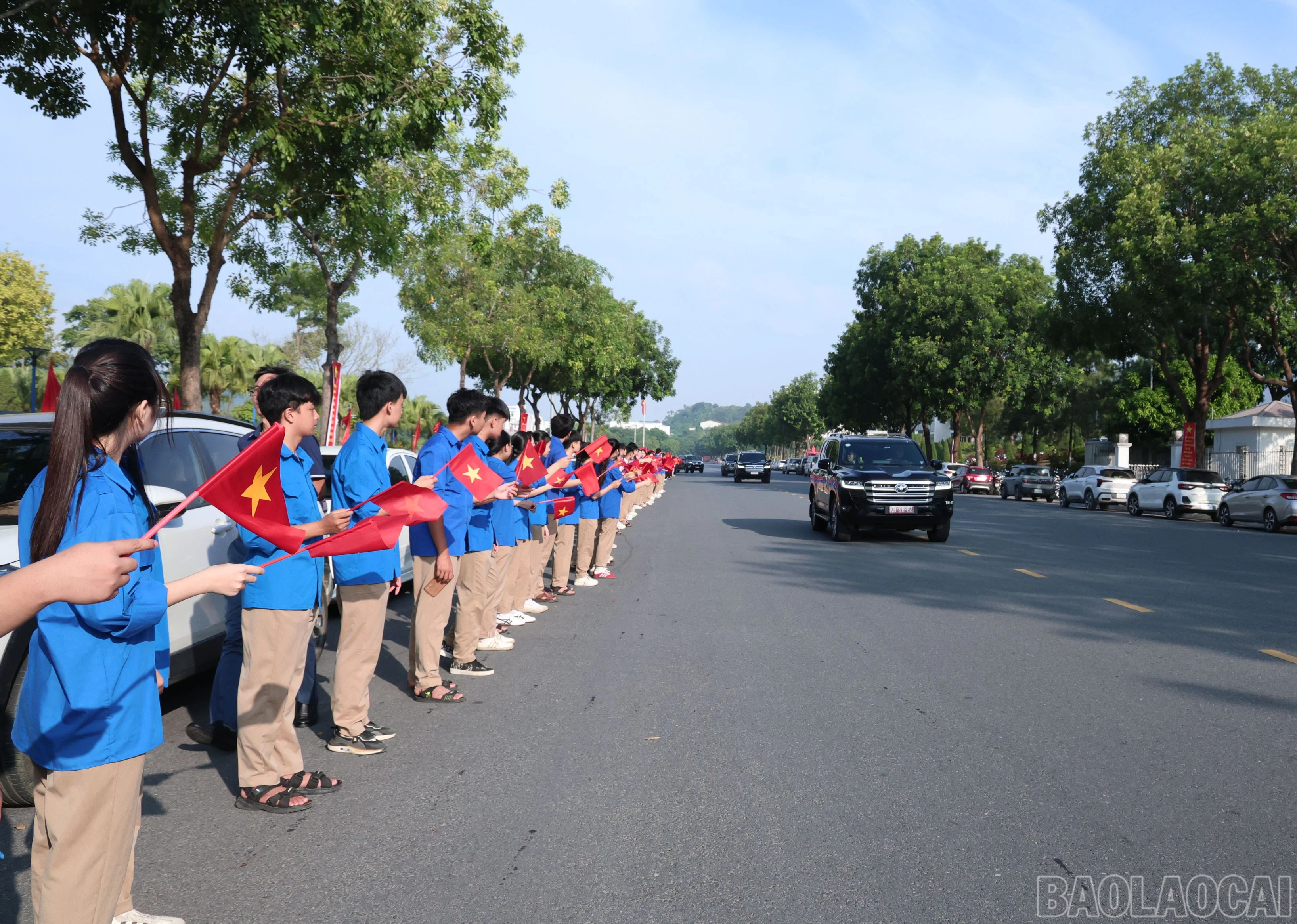 baolaocai-br_img-2226.jpg