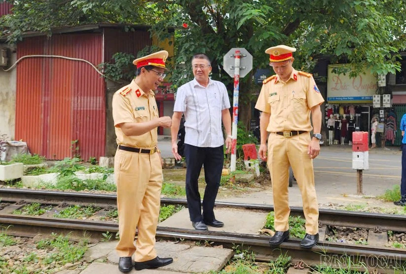 baolaocai-br_222.jpg