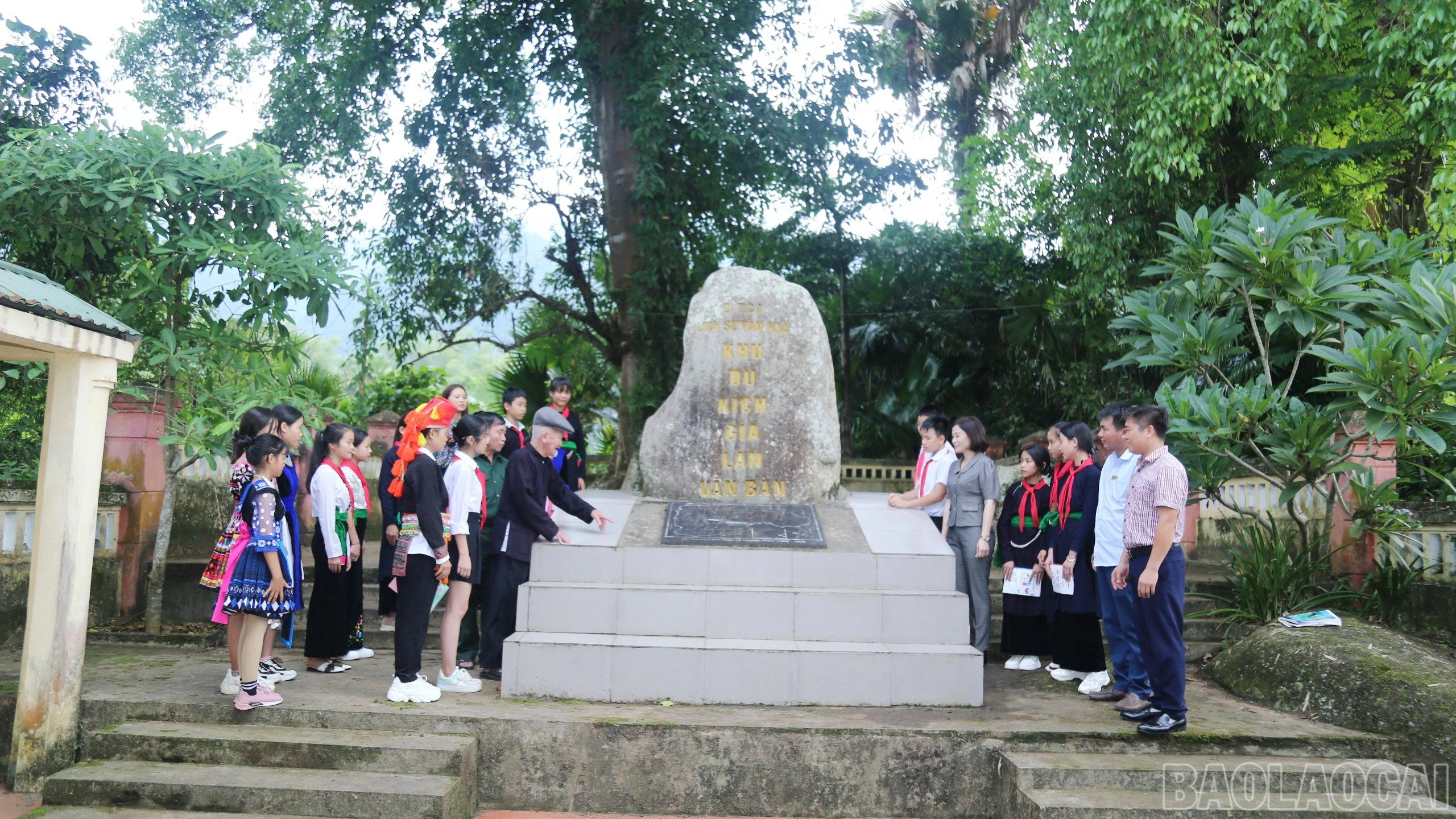 baolaocai-br_169.jpg