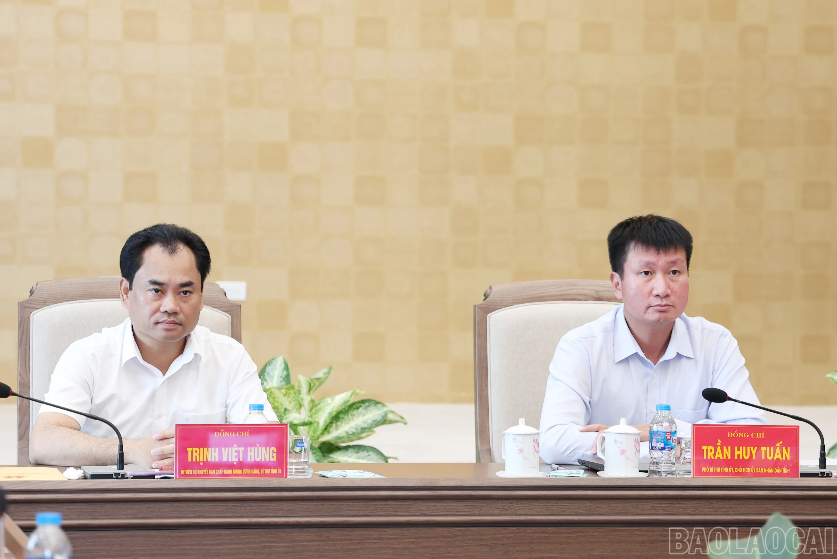 baolaocai-br_img-4510.jpg