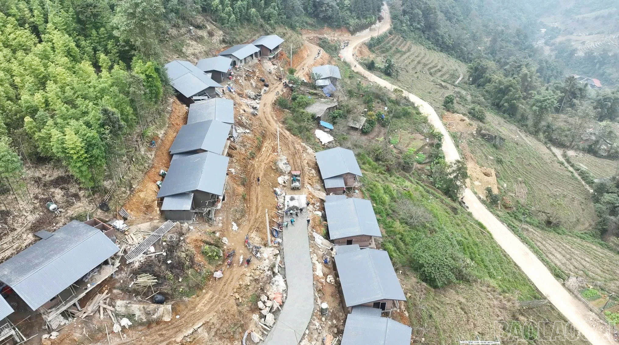 baolaocai-br_1.jpg