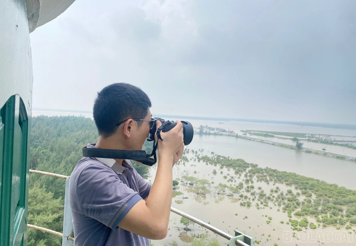 baolaocai-br_z6438876403047-d4d93af493d75403840d0a48093b59a0.jpg