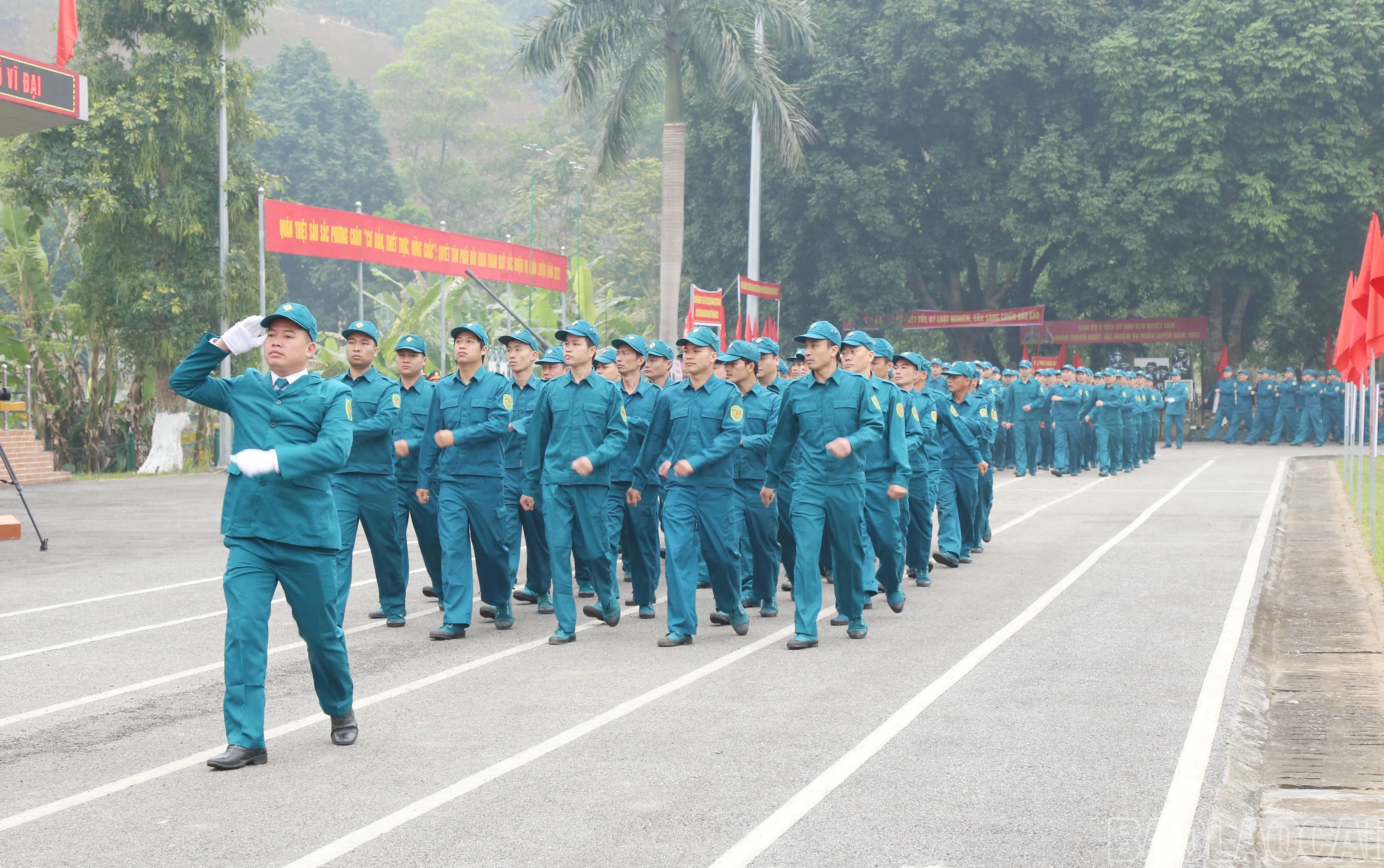 baolaocai-br_11.jpg