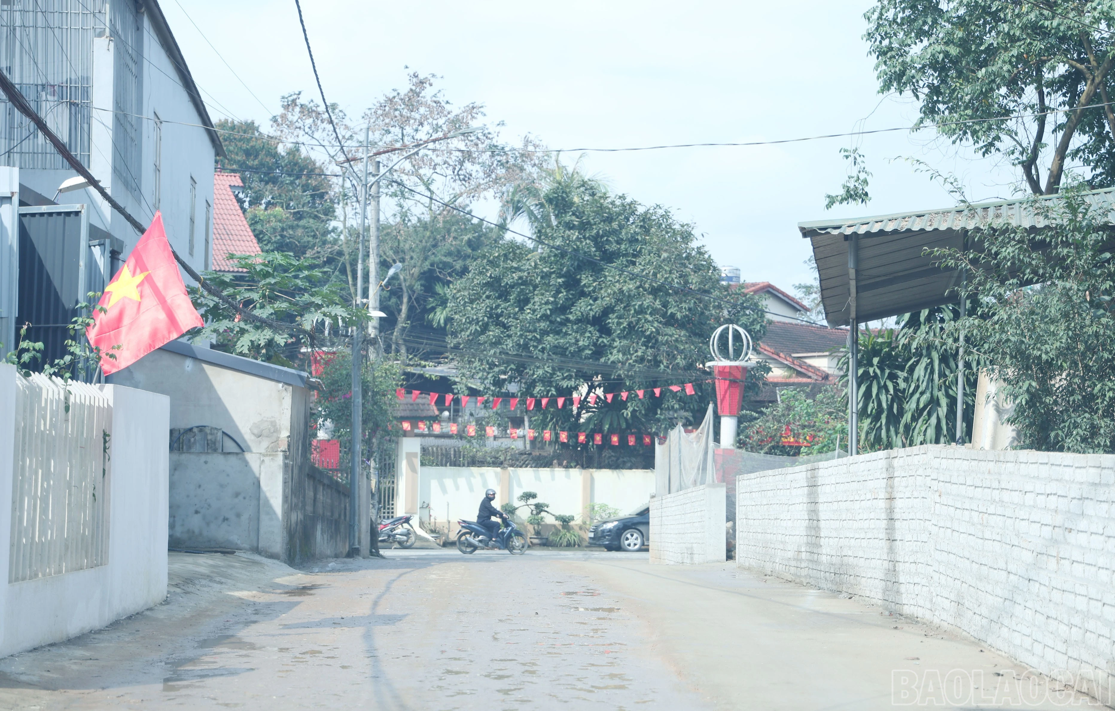 baolaocai-br_img-9769.jpg