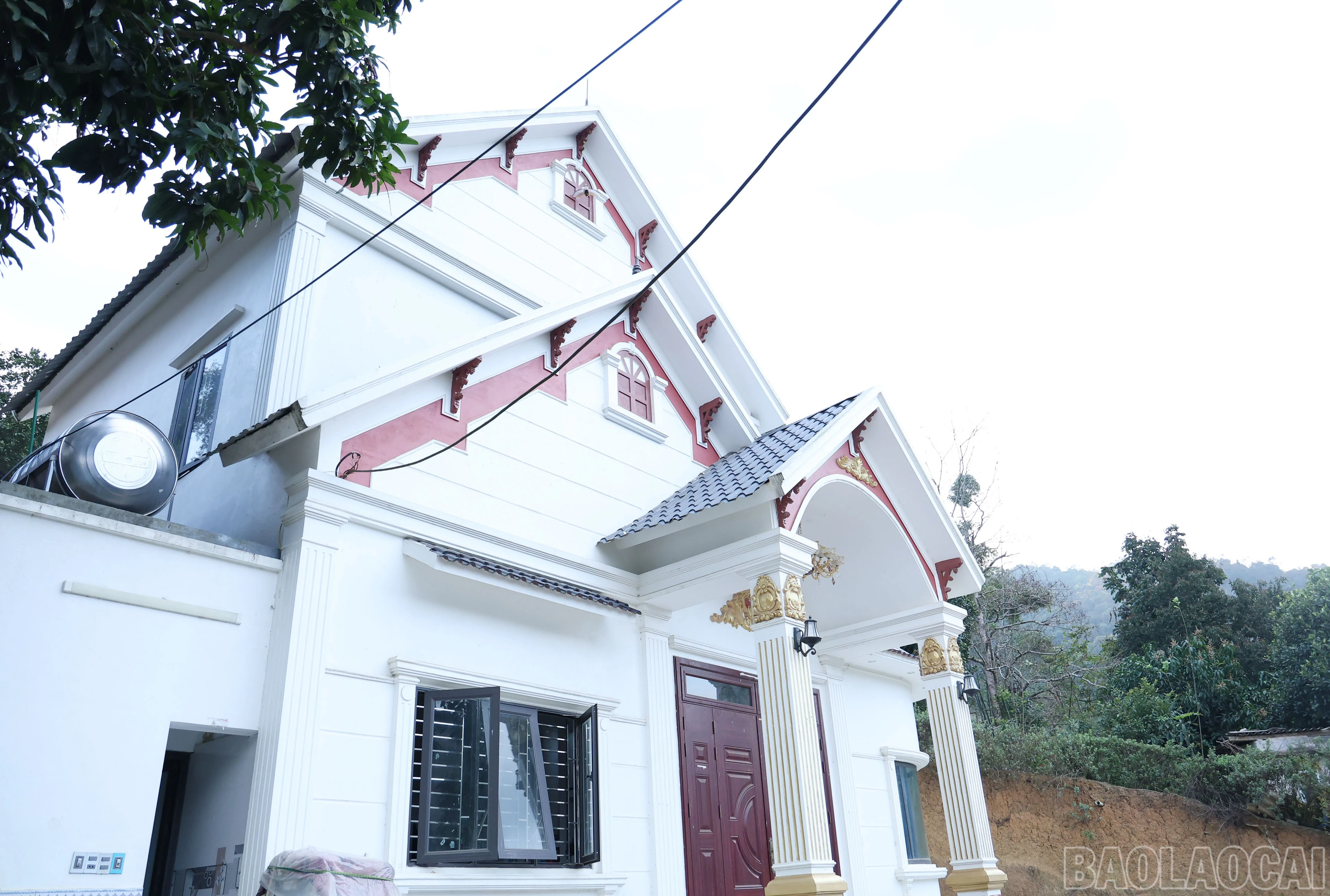 baolaocai-br_img-9651.jpg