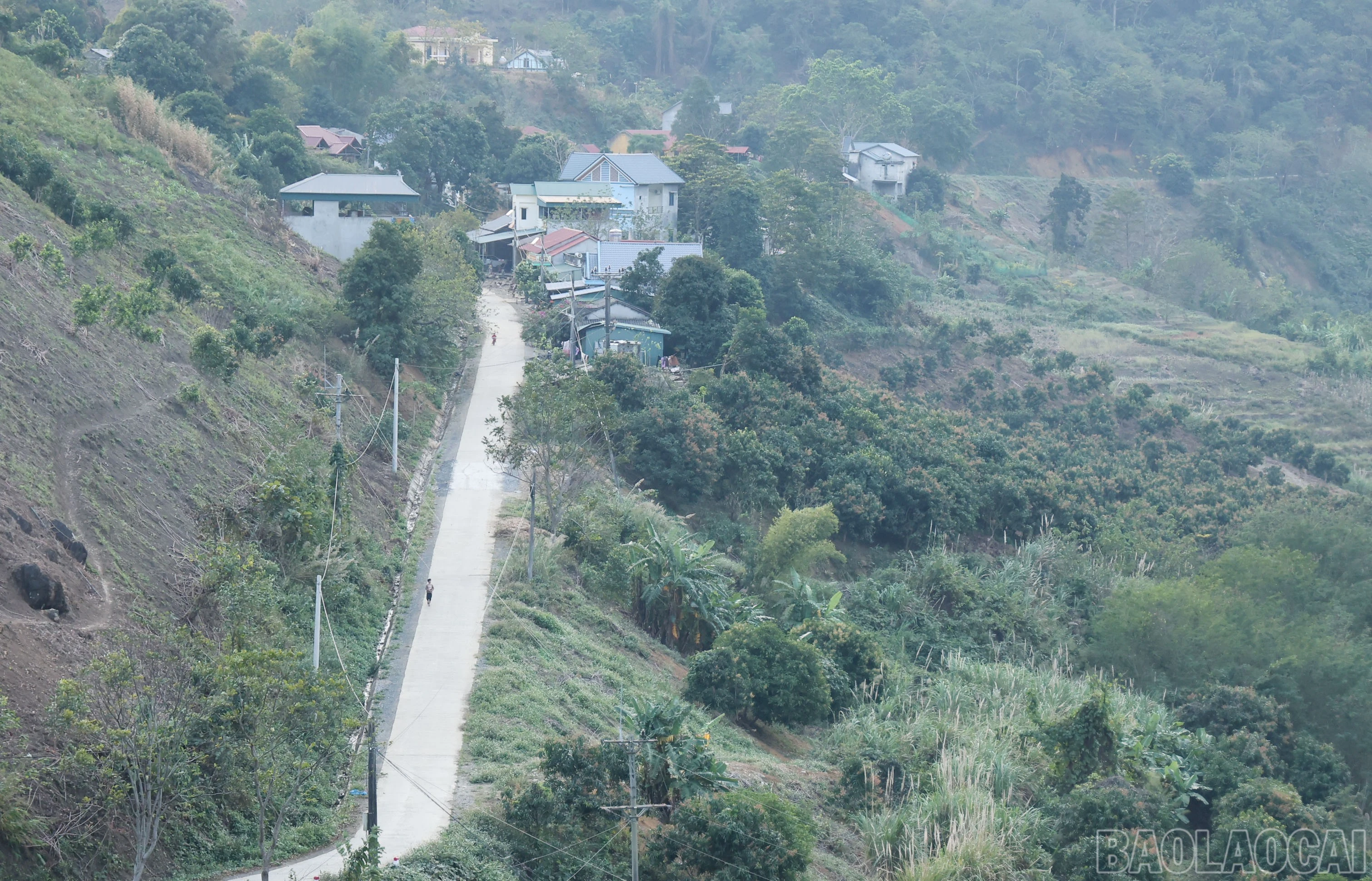baolaocai-br_img-9668.jpg