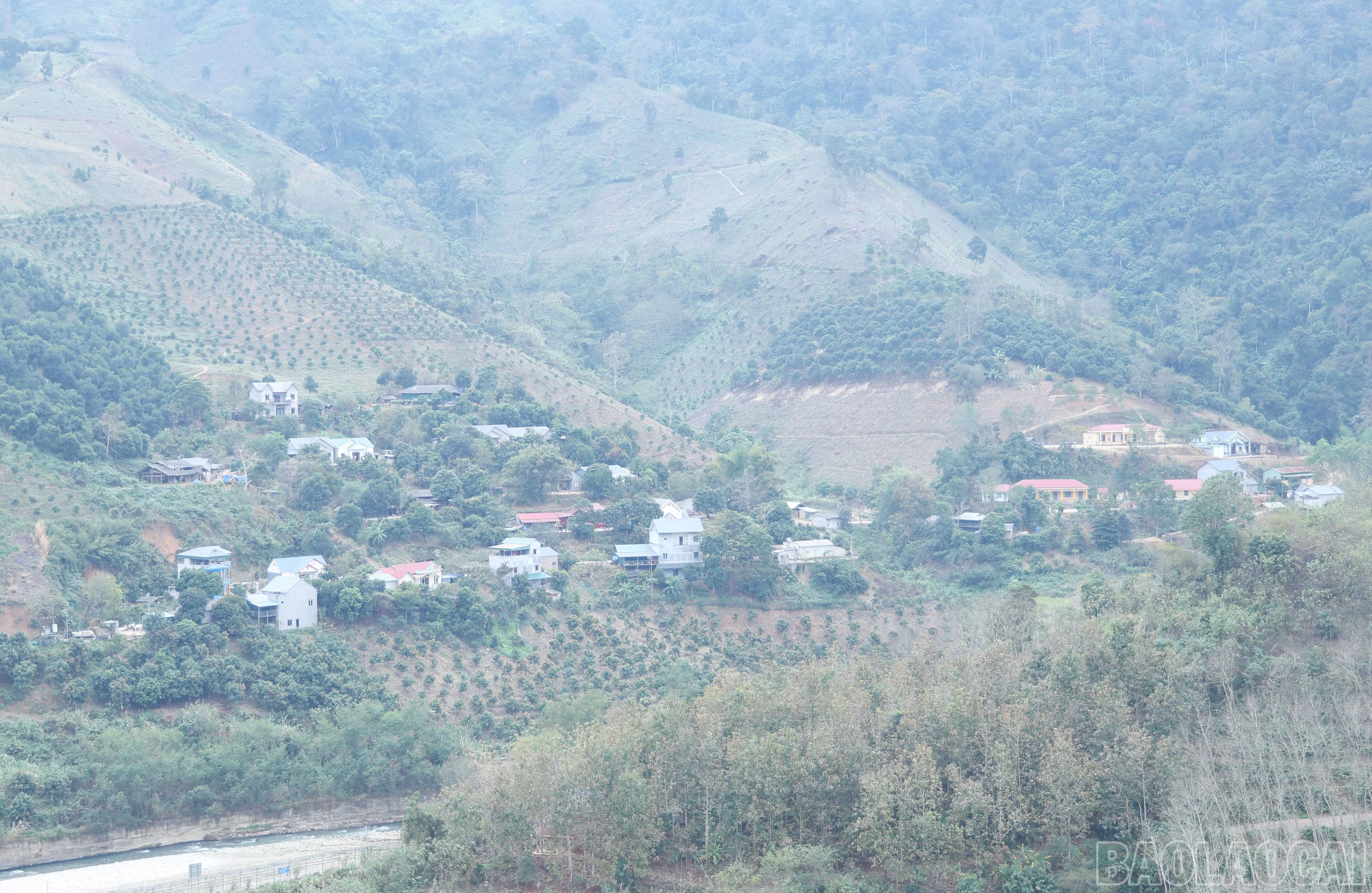 baolaocai-br_img-9571.jpg