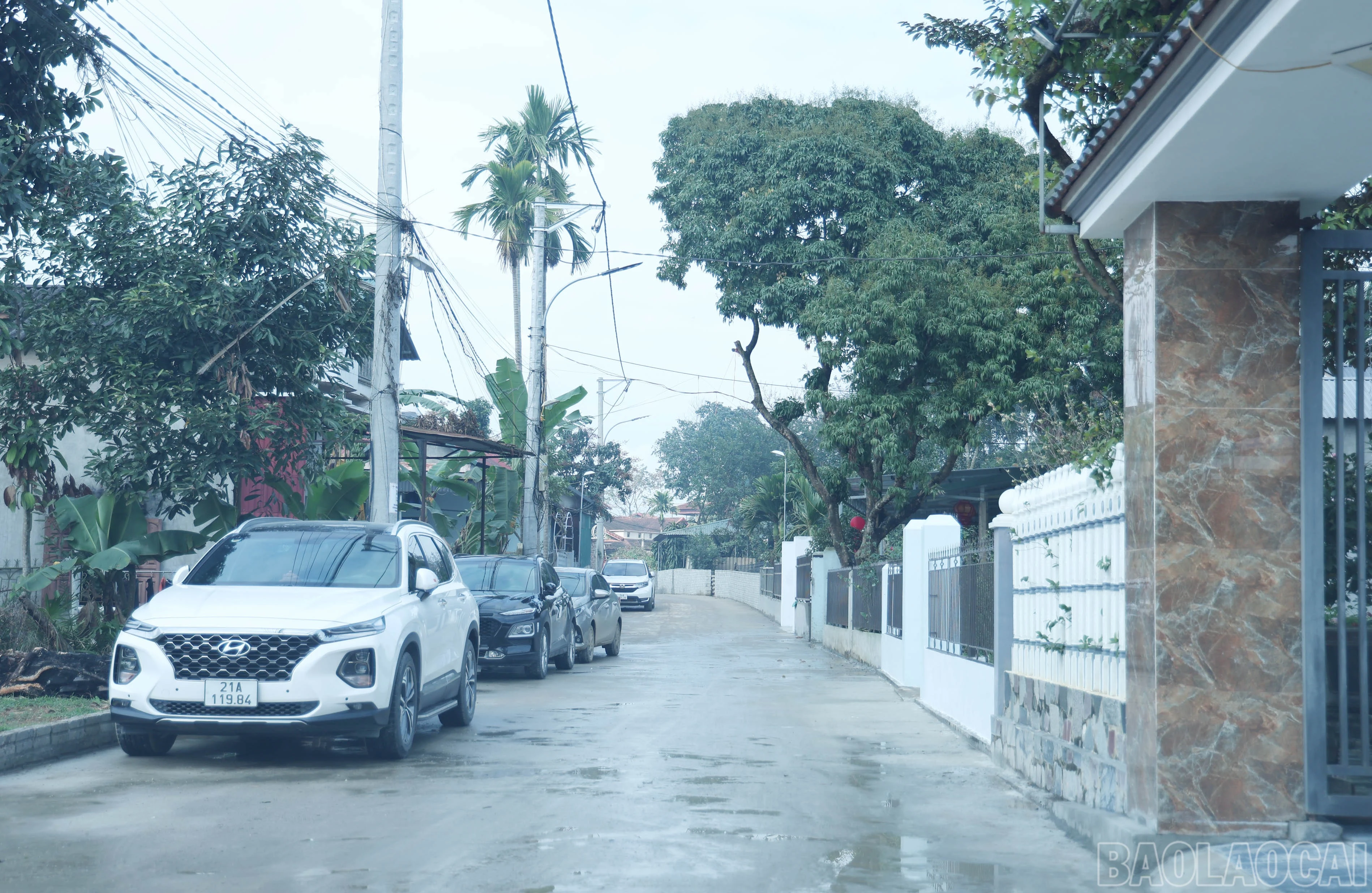 baolaocai-br_img-9767.jpg