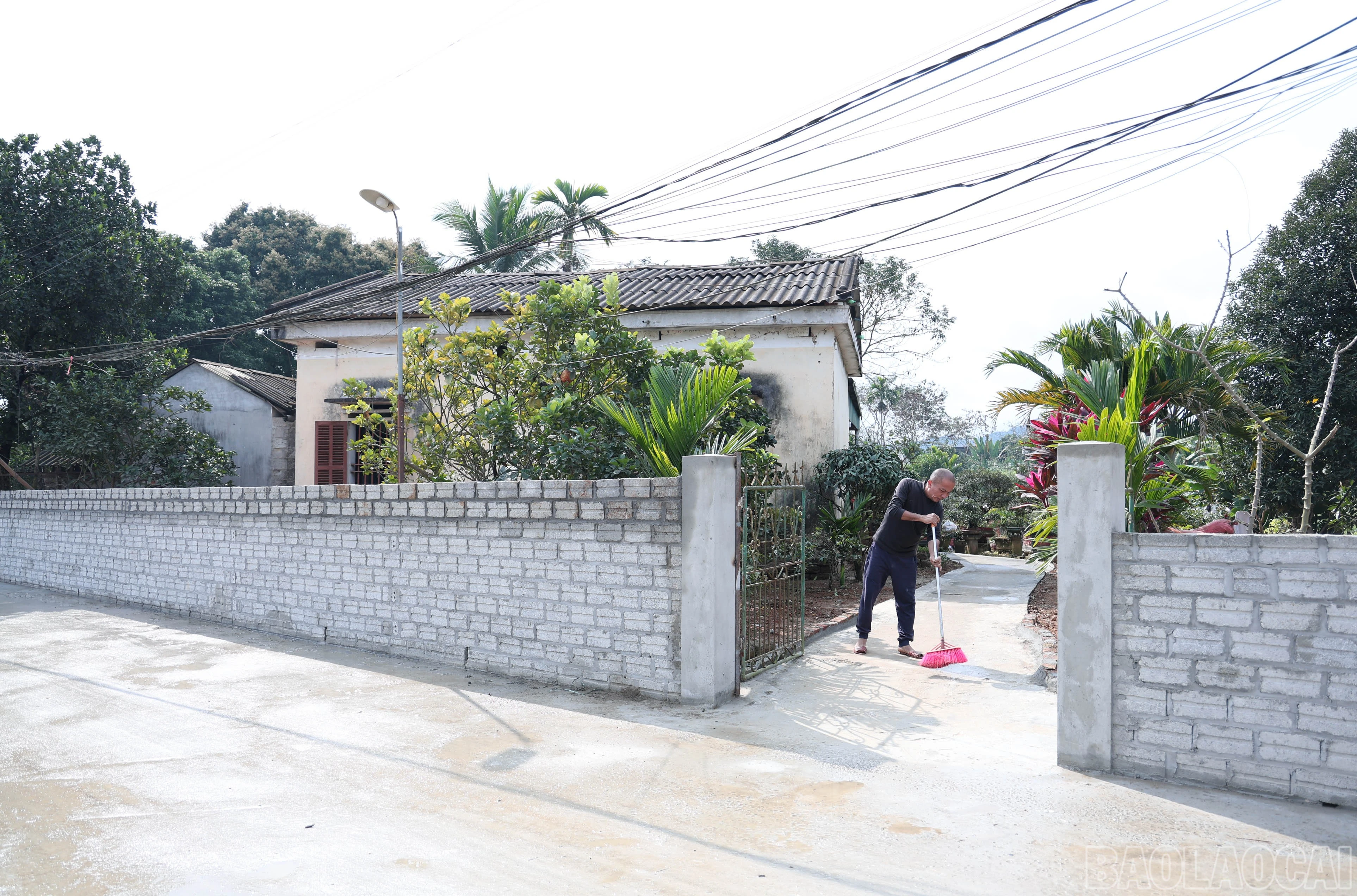 baolaocai-br_img-9751.jpg